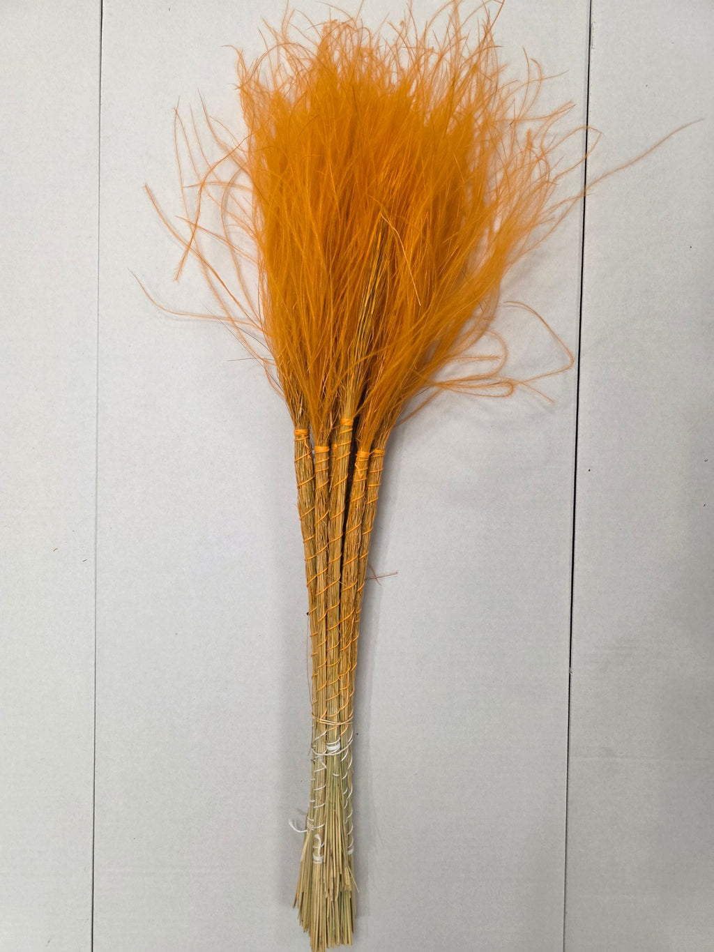 Stypha Orange