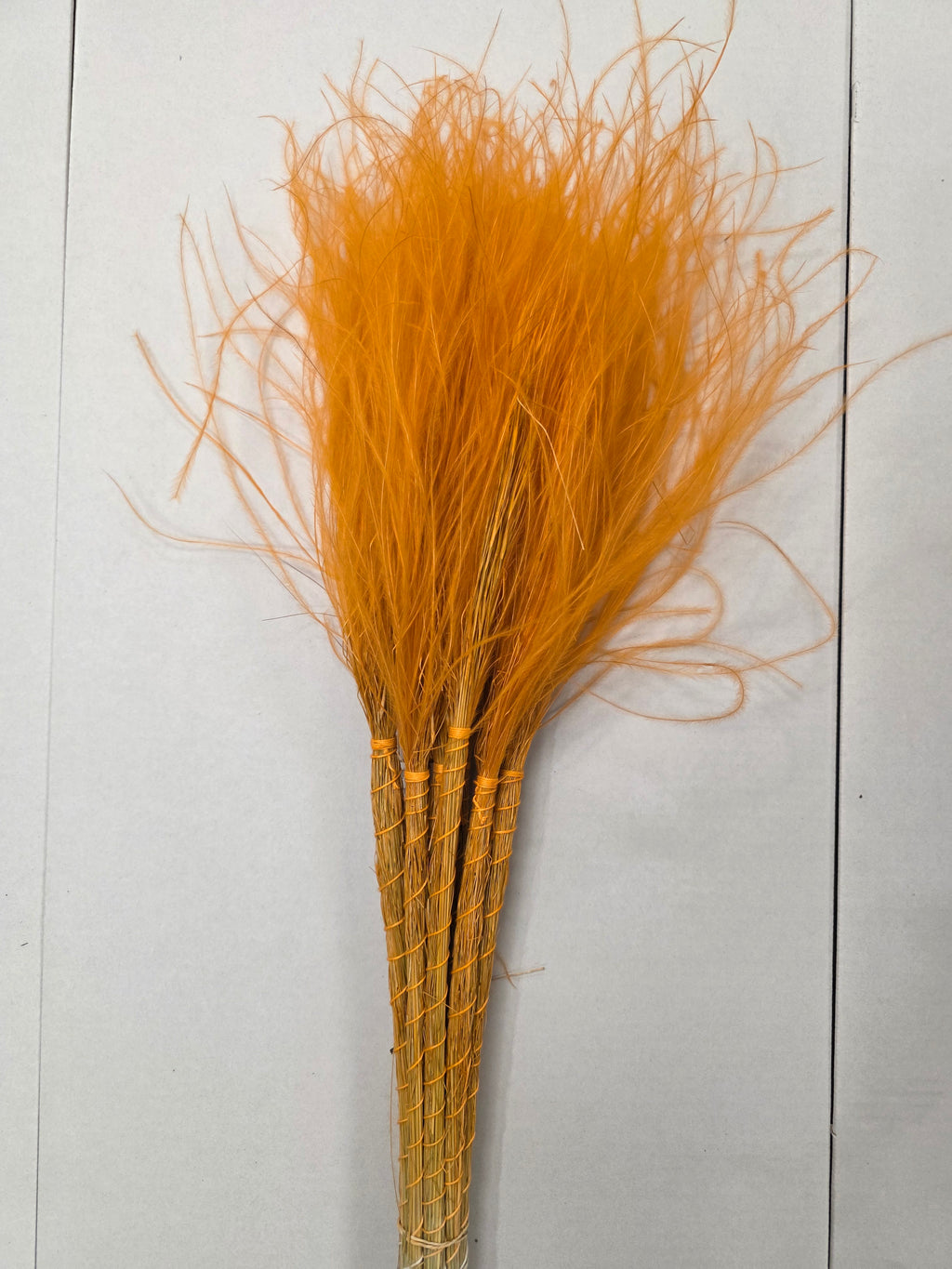 Stypha Orange
