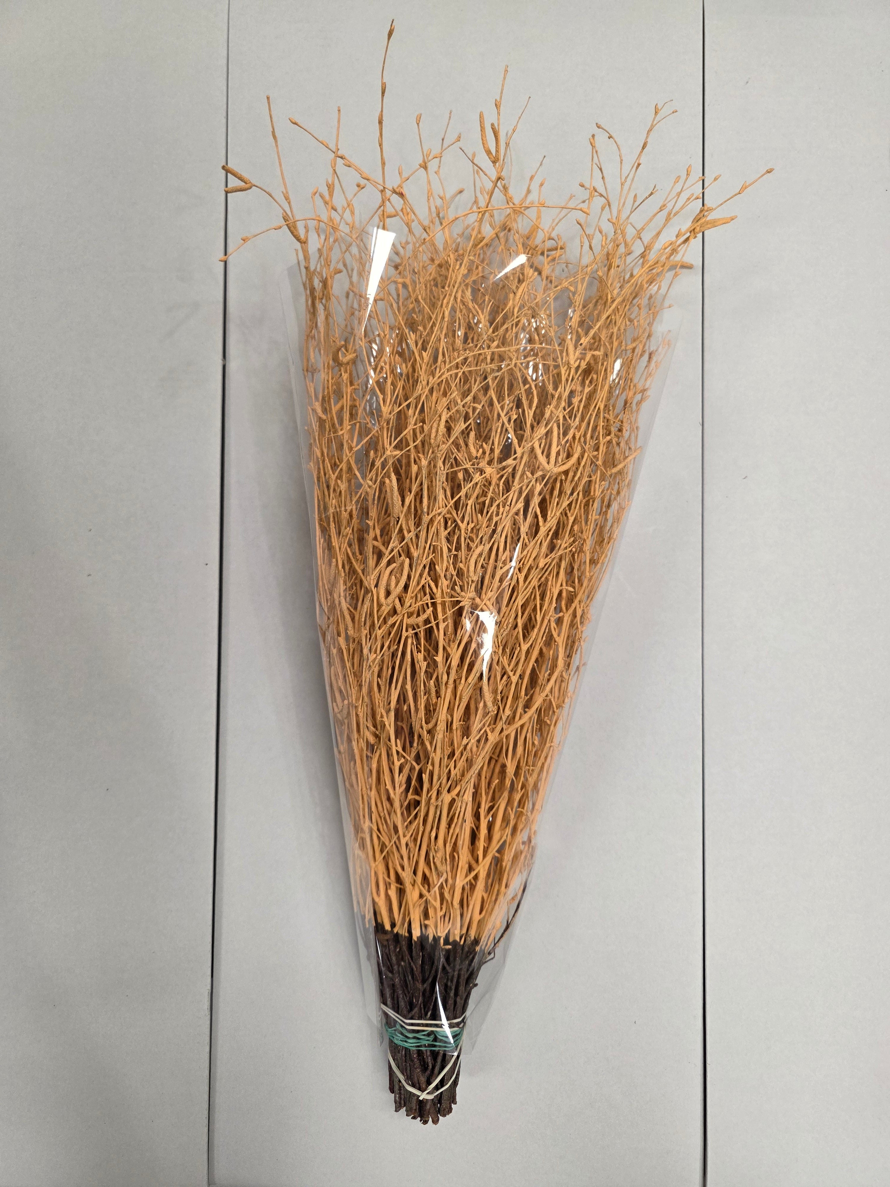 Berk Apricot
