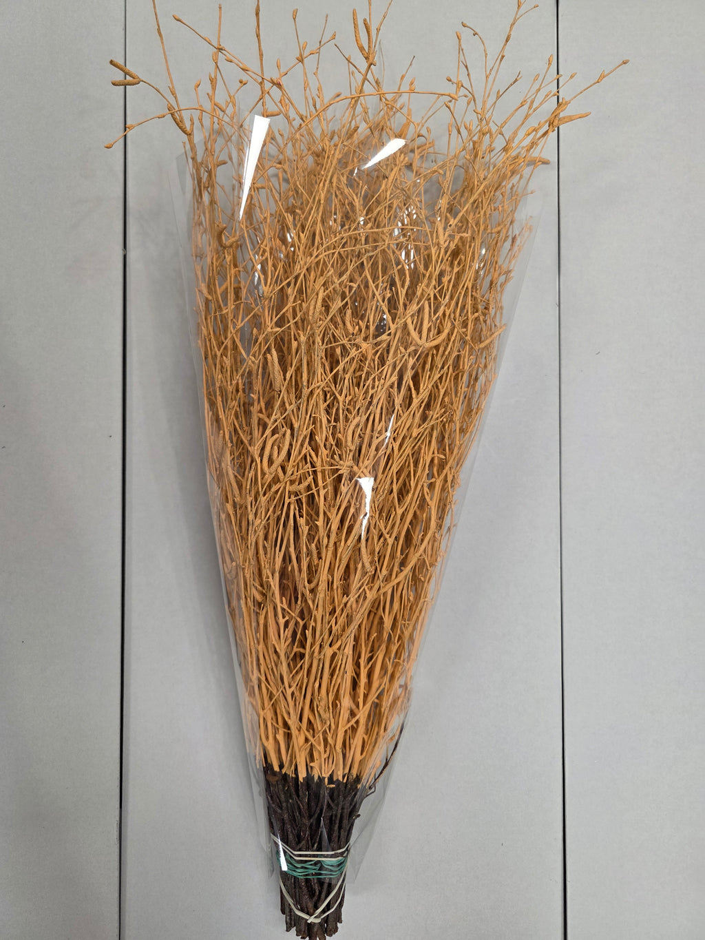 Berk Apricot