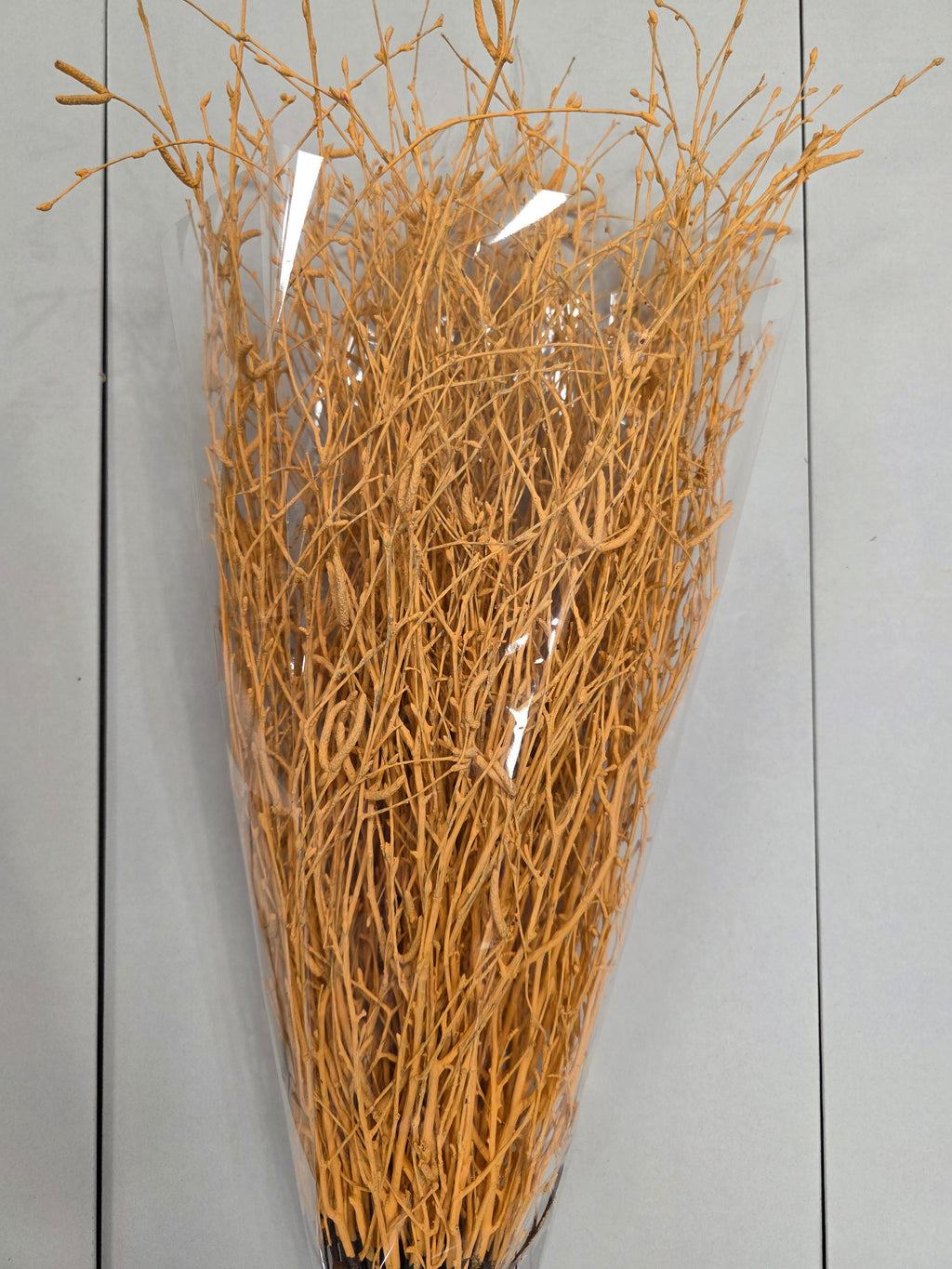 Berk Apricot