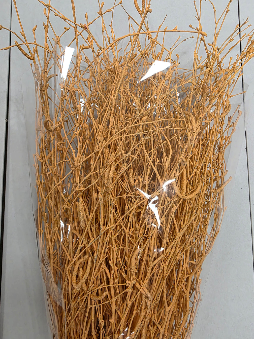 Berk Apricot