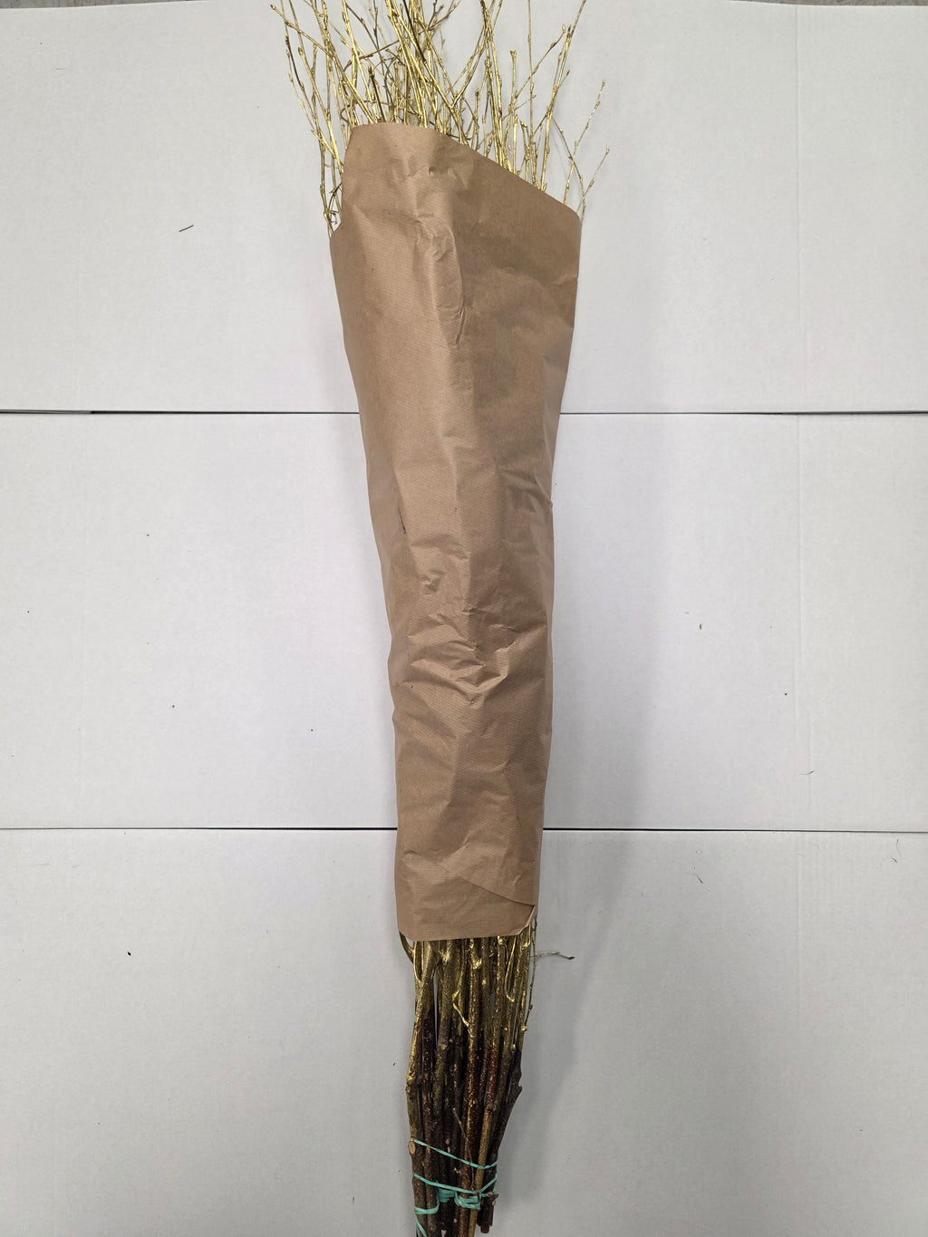Berk Gold 120cm