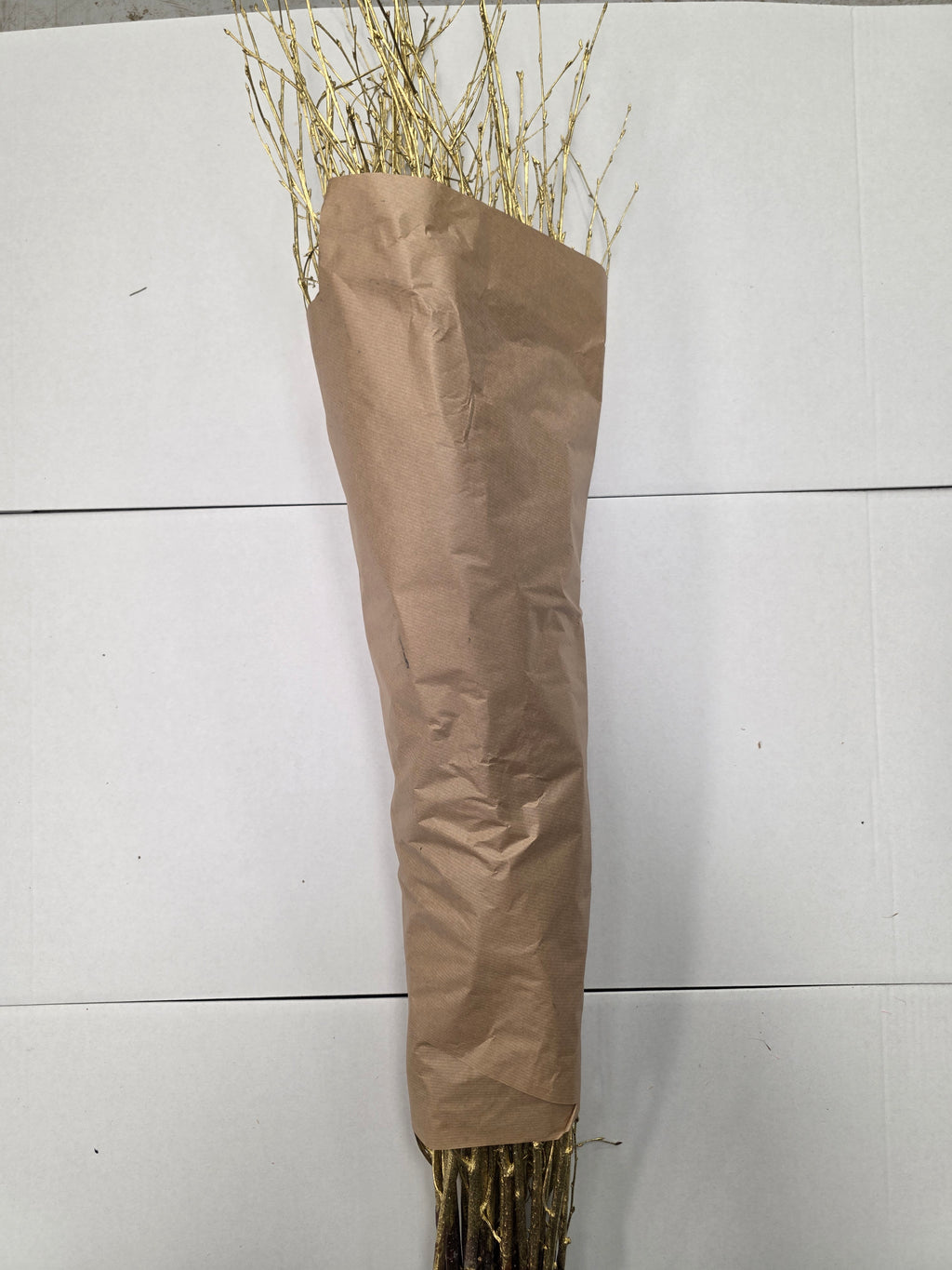Berk Gold 120cm