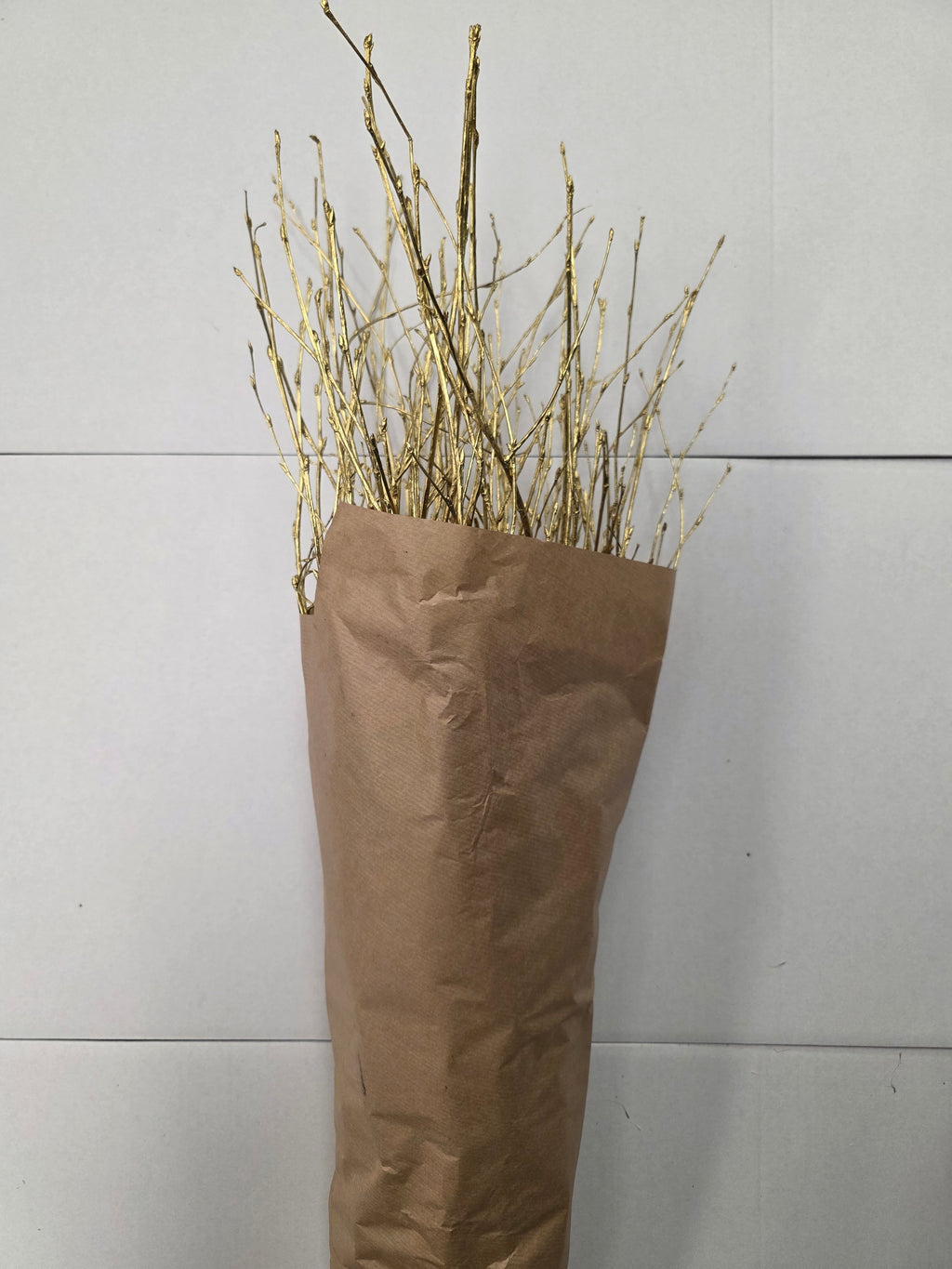 Berk Gold 120cm