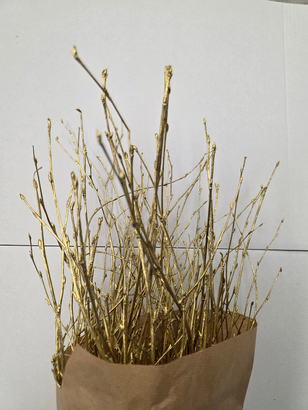 Berk Gold 120cm