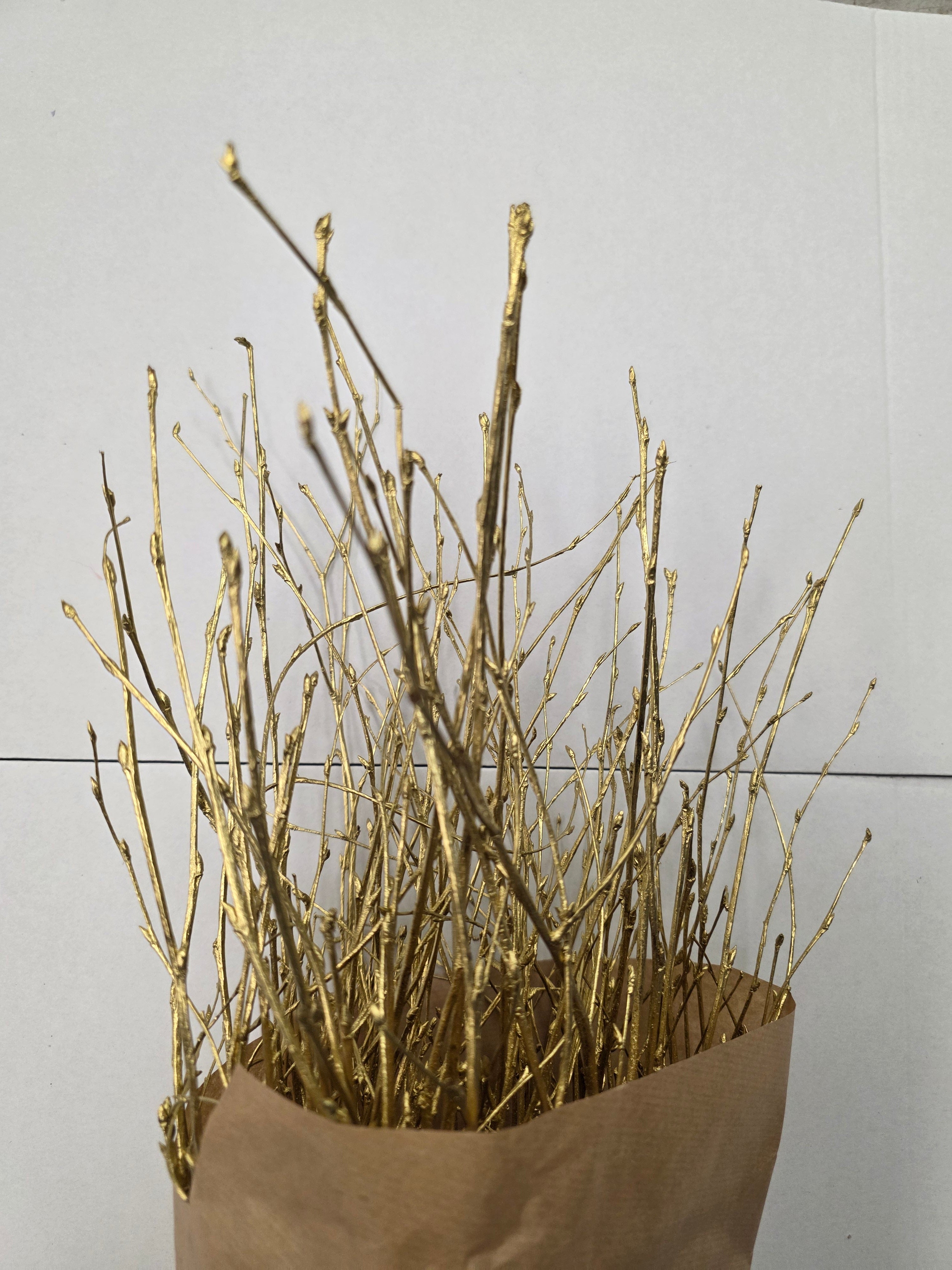 Berk Gold 120cm