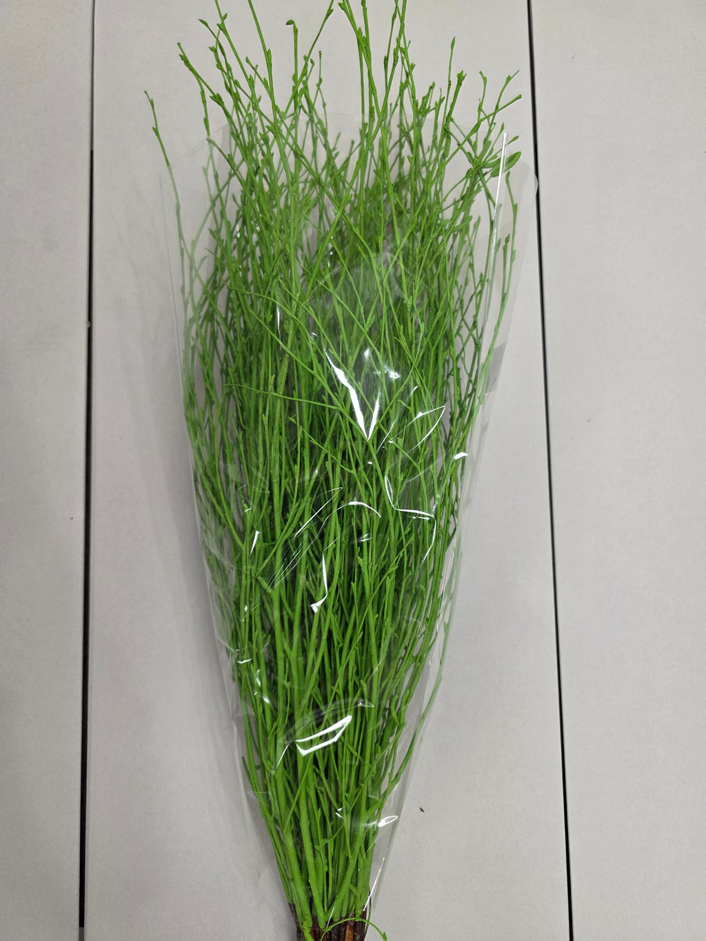 Berk Green