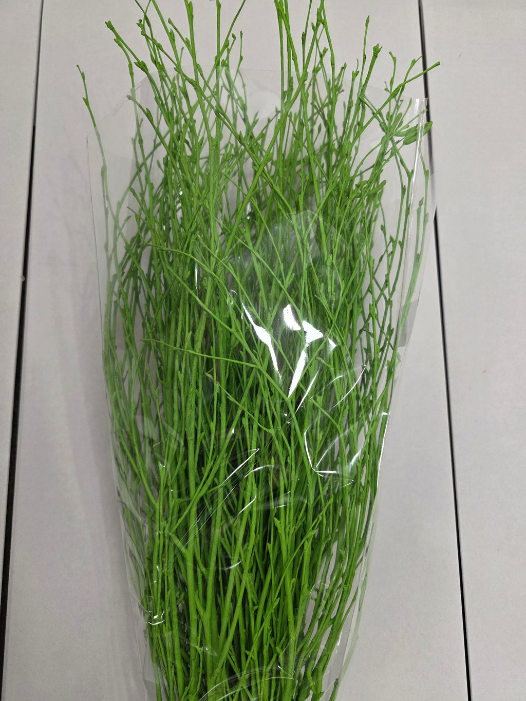 Berk Green