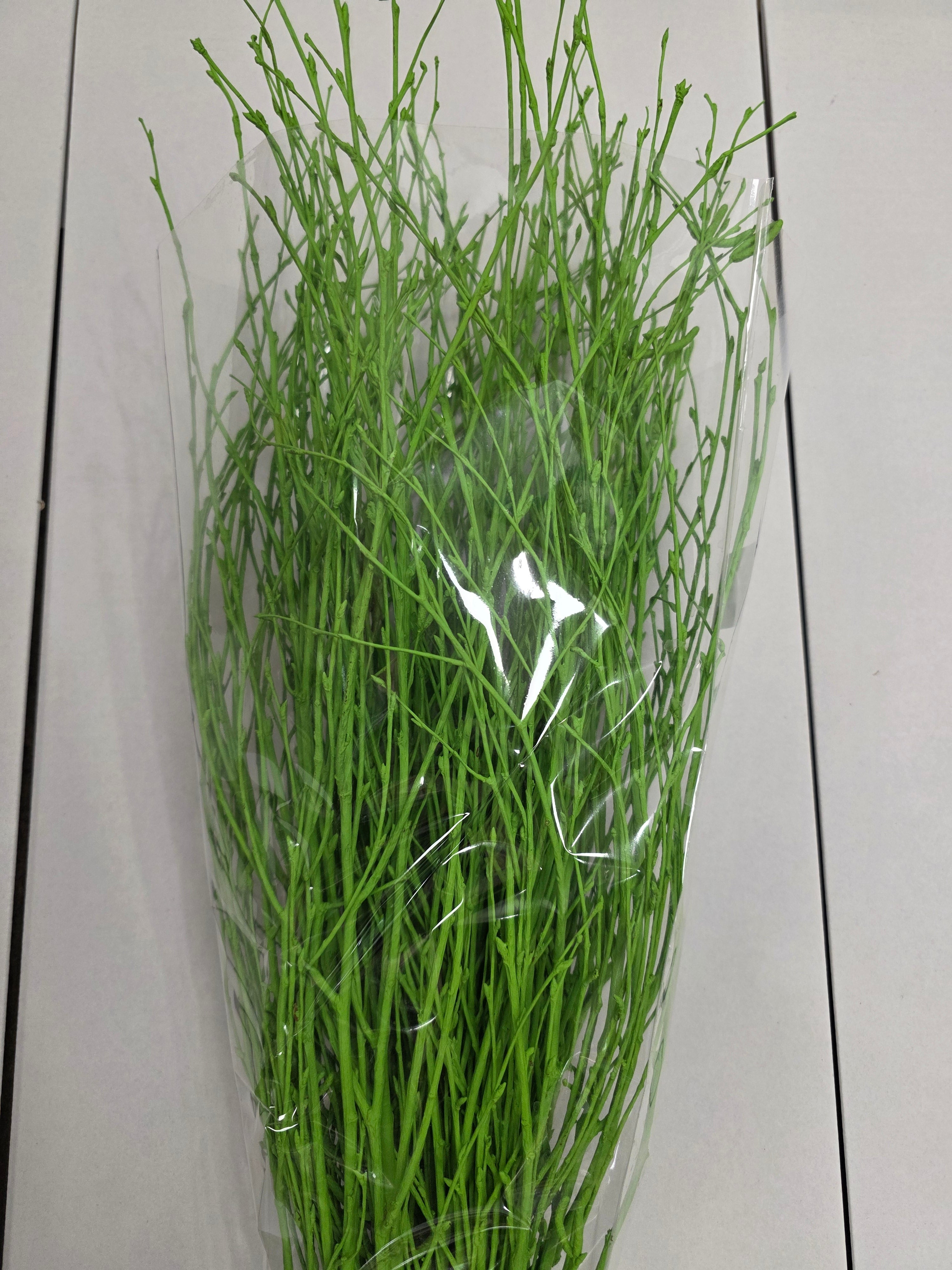 Berk Green