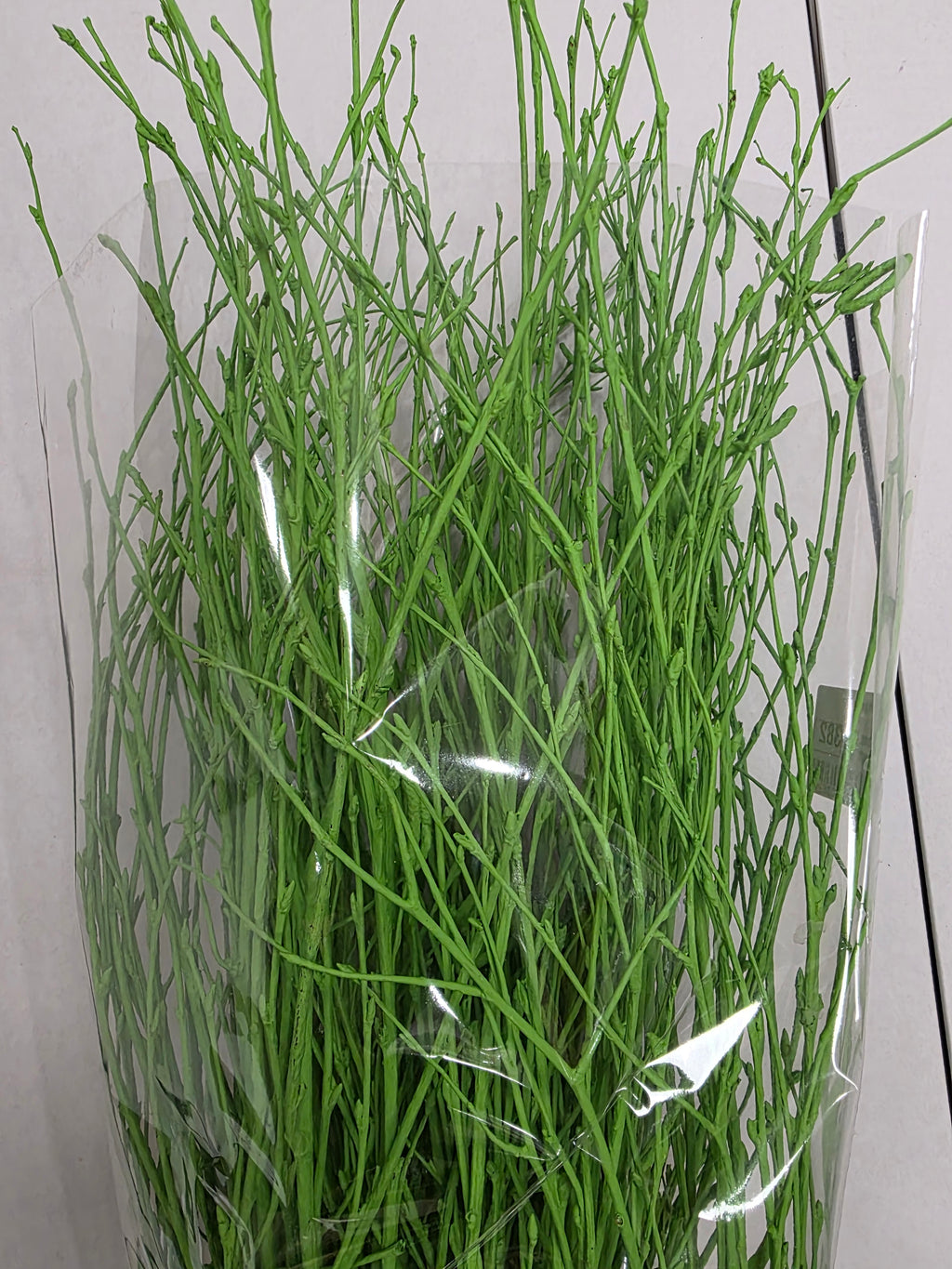 Berk Green