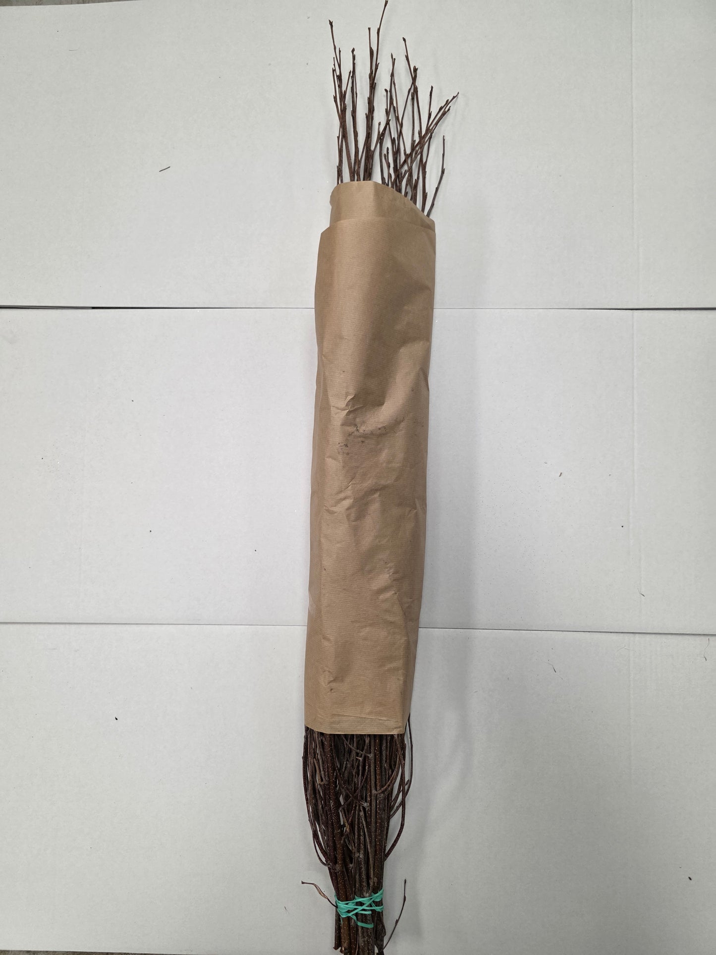 Berk Naturel 120cm