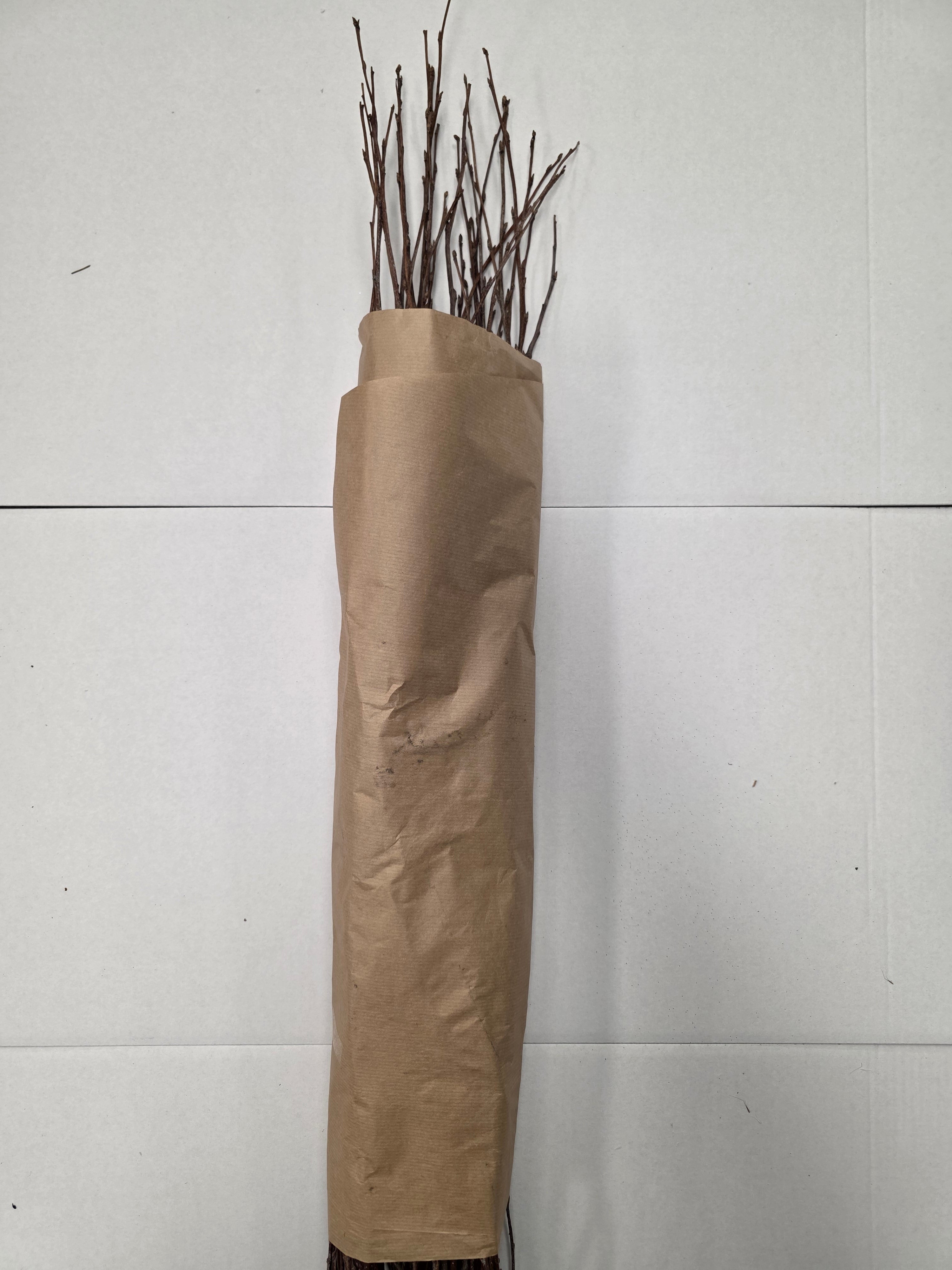 Berk Naturel 120cm