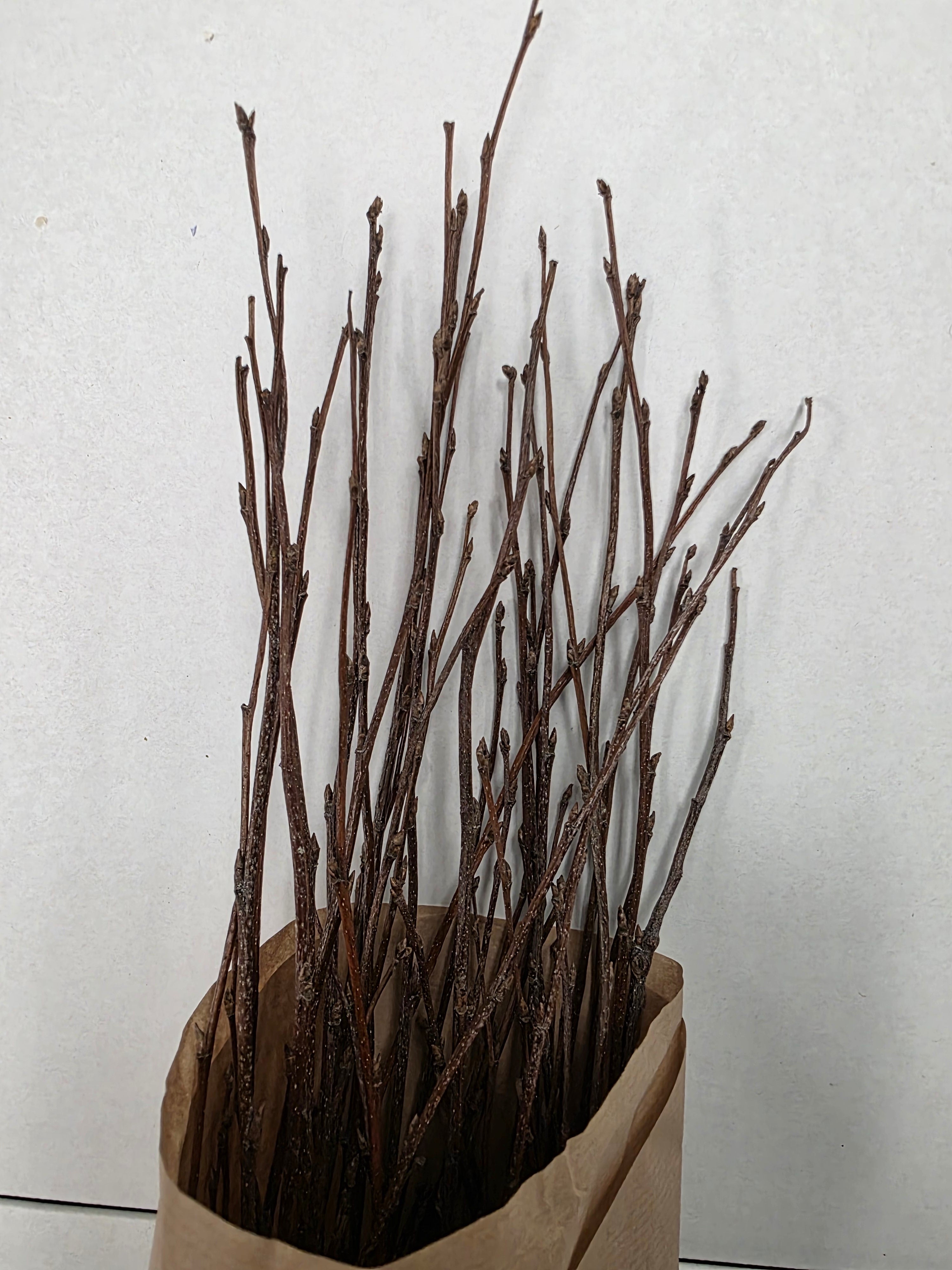 Berk Naturel 120cm