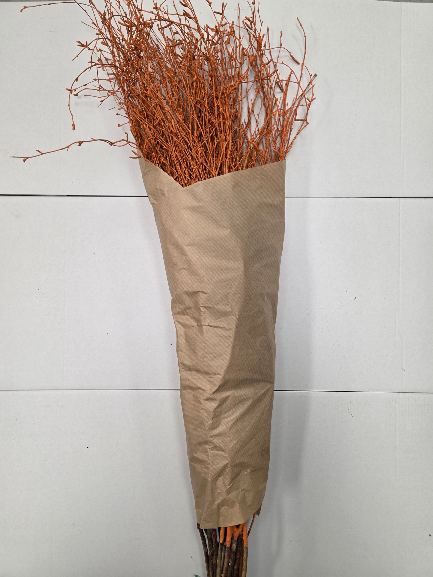 Berk Orange 120cm