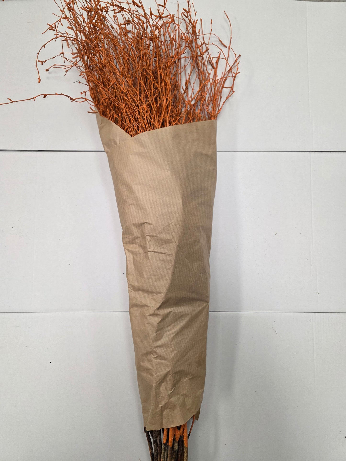 Berk Orange 120cm