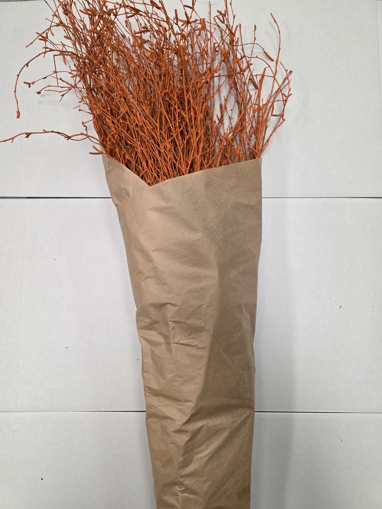 Berk Orange 120cm