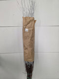Berk Silver 120cm
