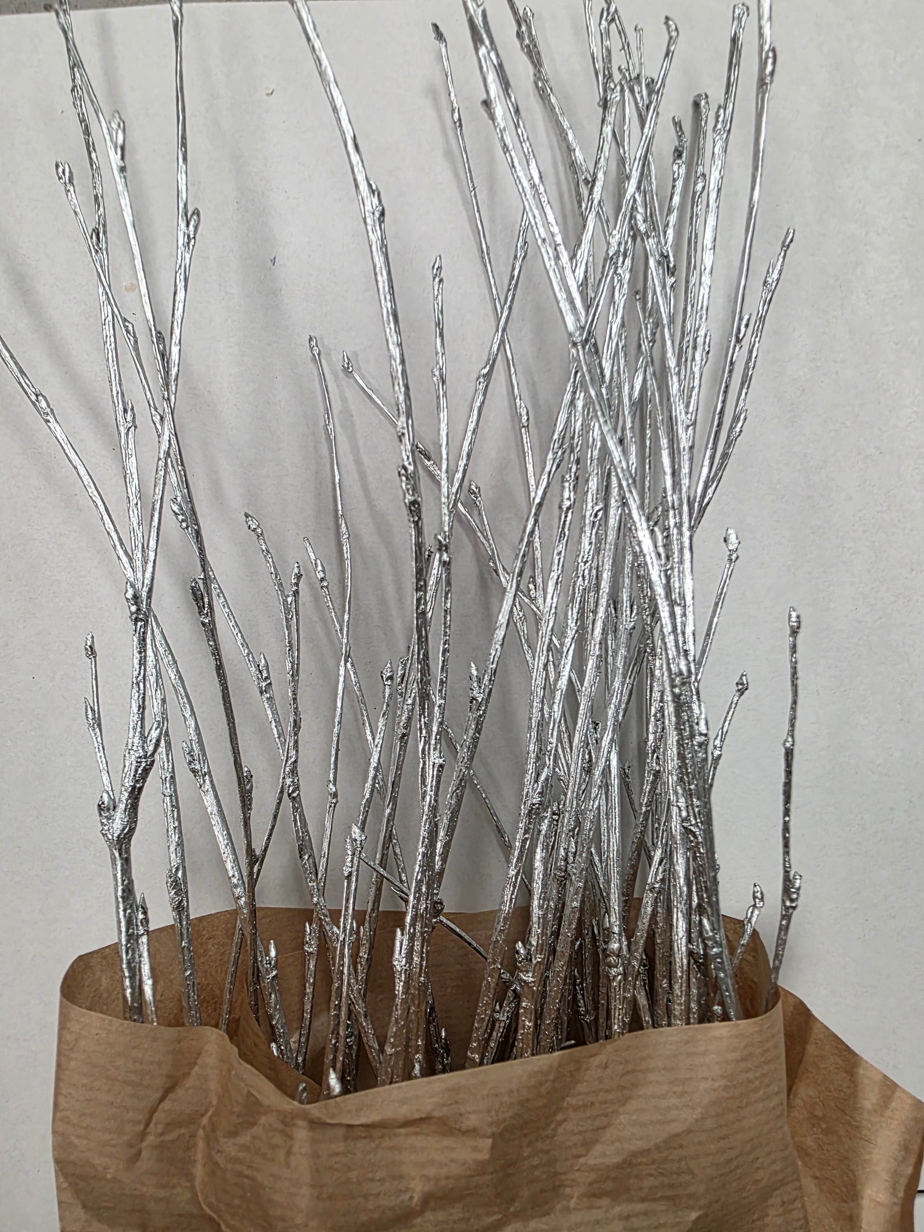 Berk Silver 120cm