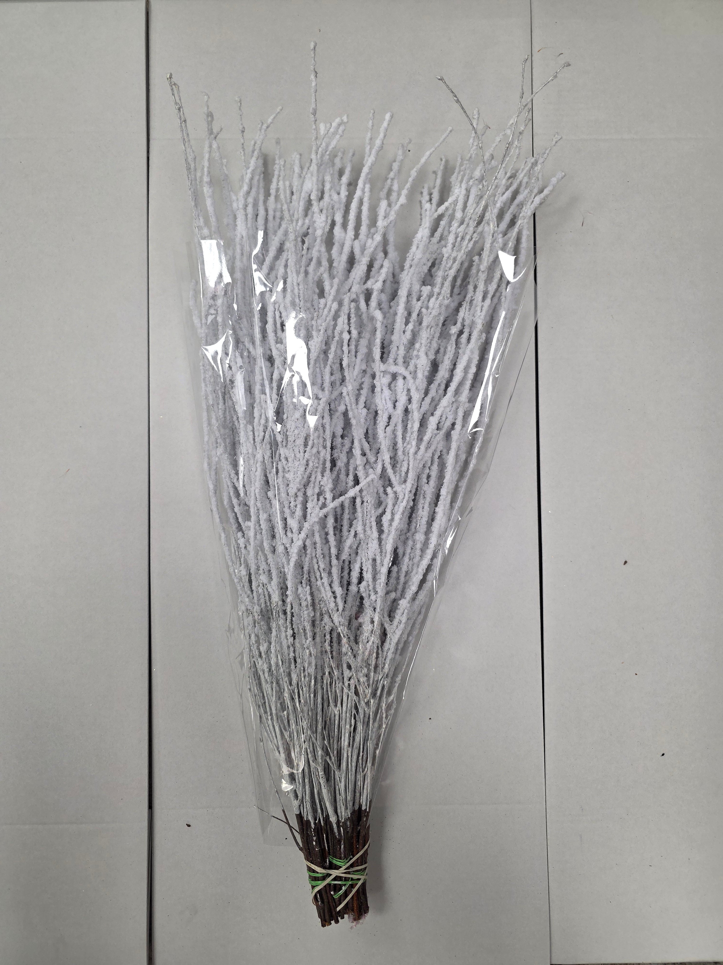 Berk Snow 120cm