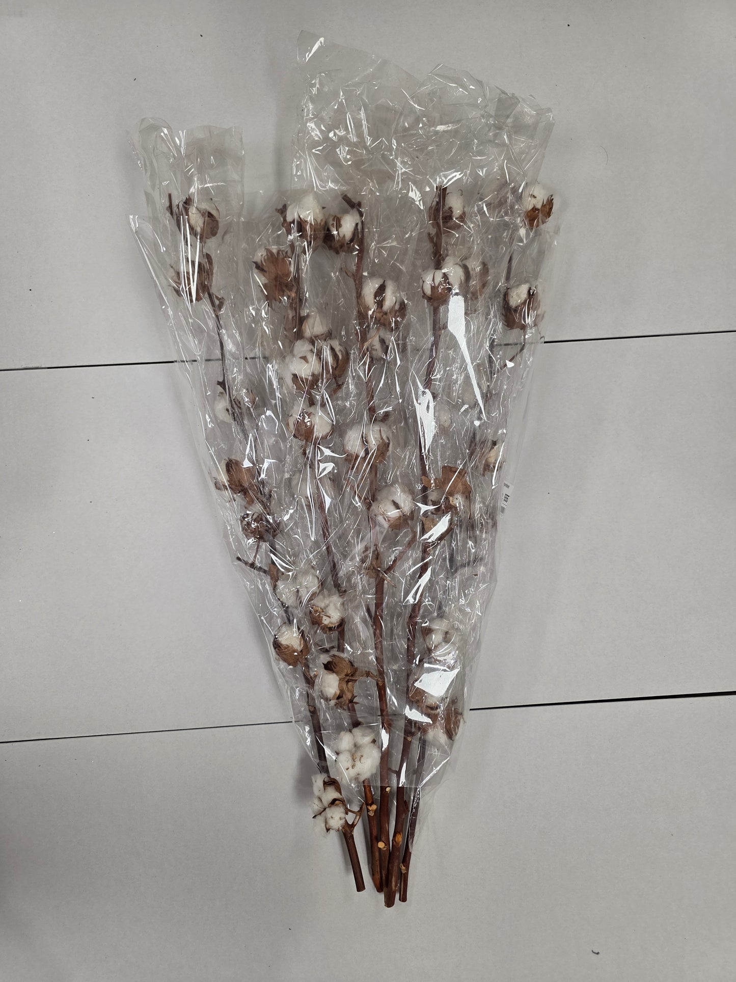 Gossypium(katoen) 8Balls