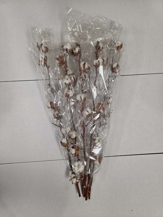 Gossypium(katoen) 8Balls