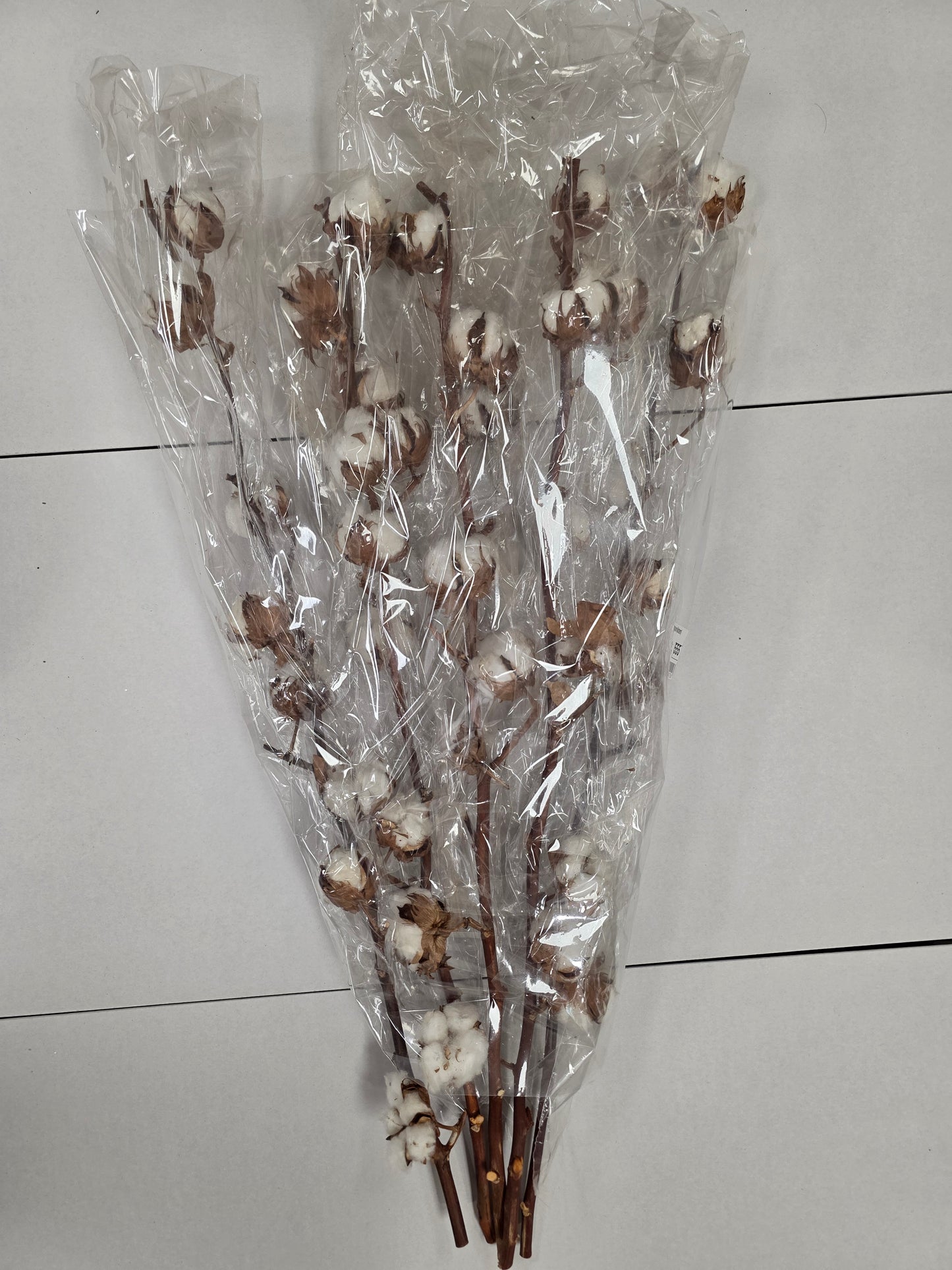 Gossypium(katoen) 8Balls