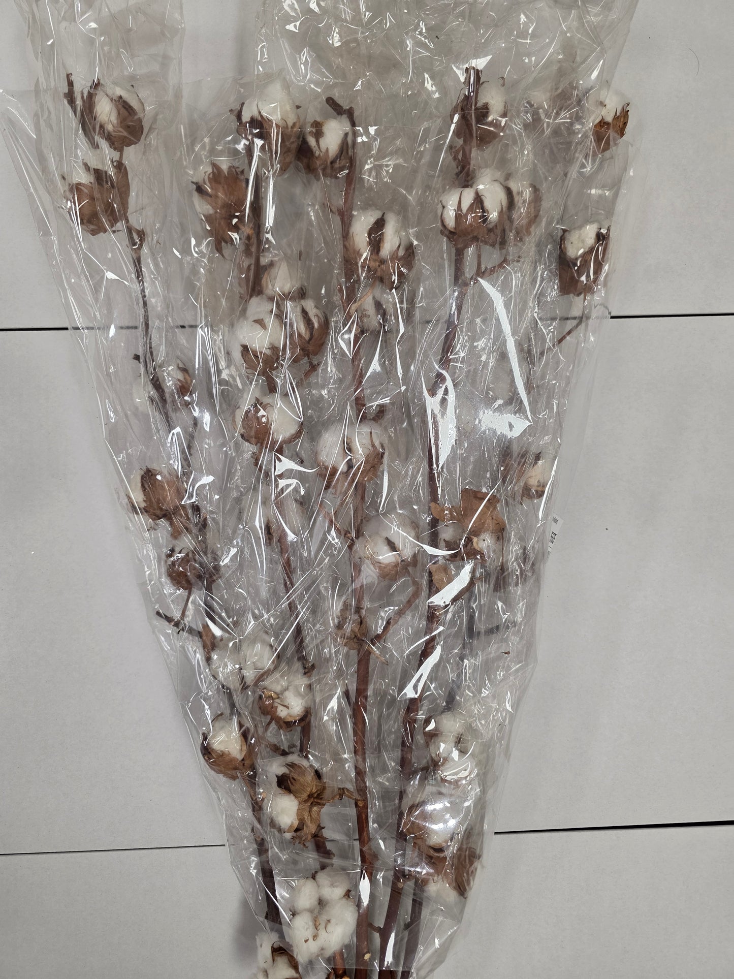 Gossypium(katoen) 8Balls