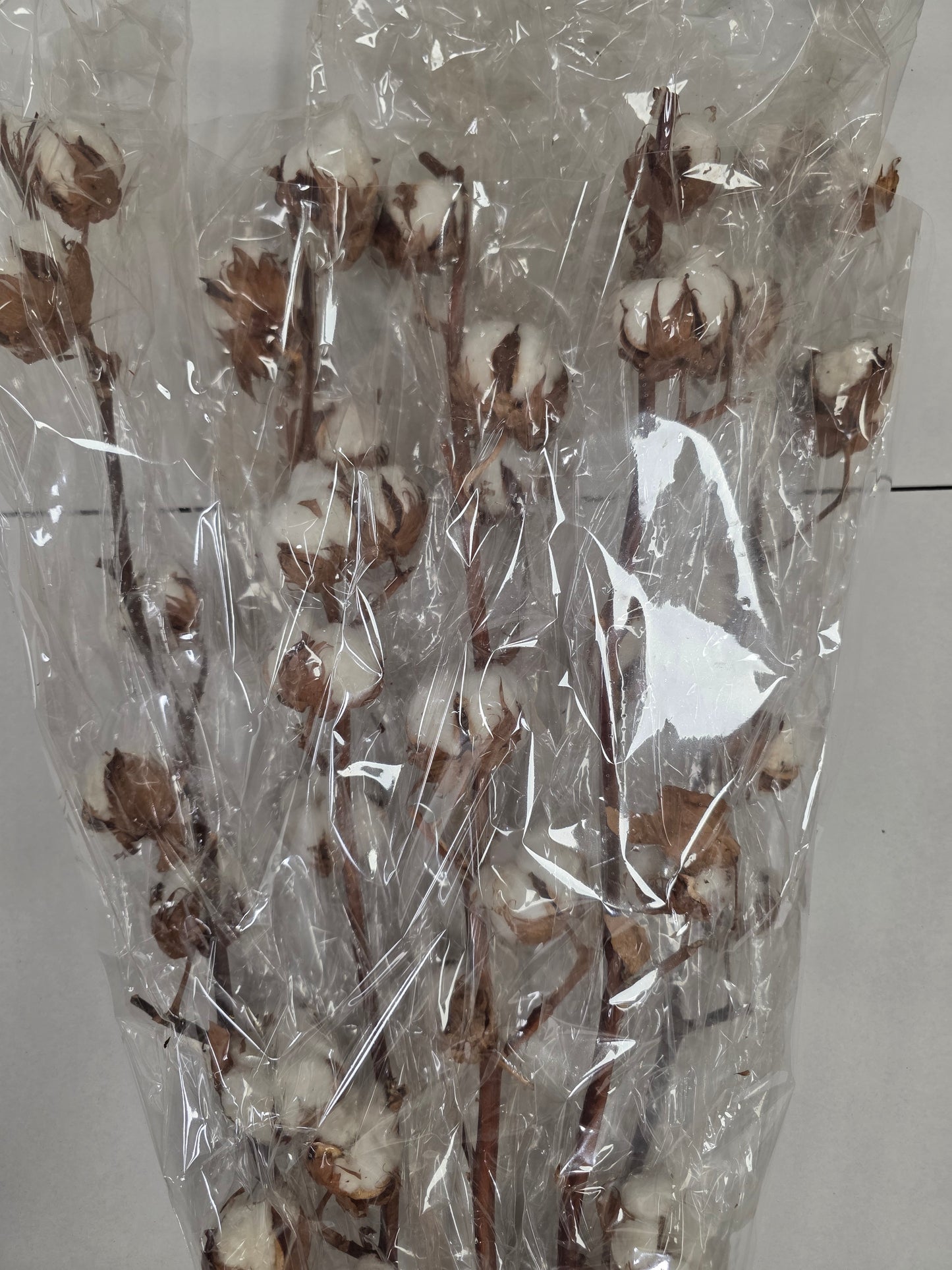 Gossypium(katoen) 8Balls