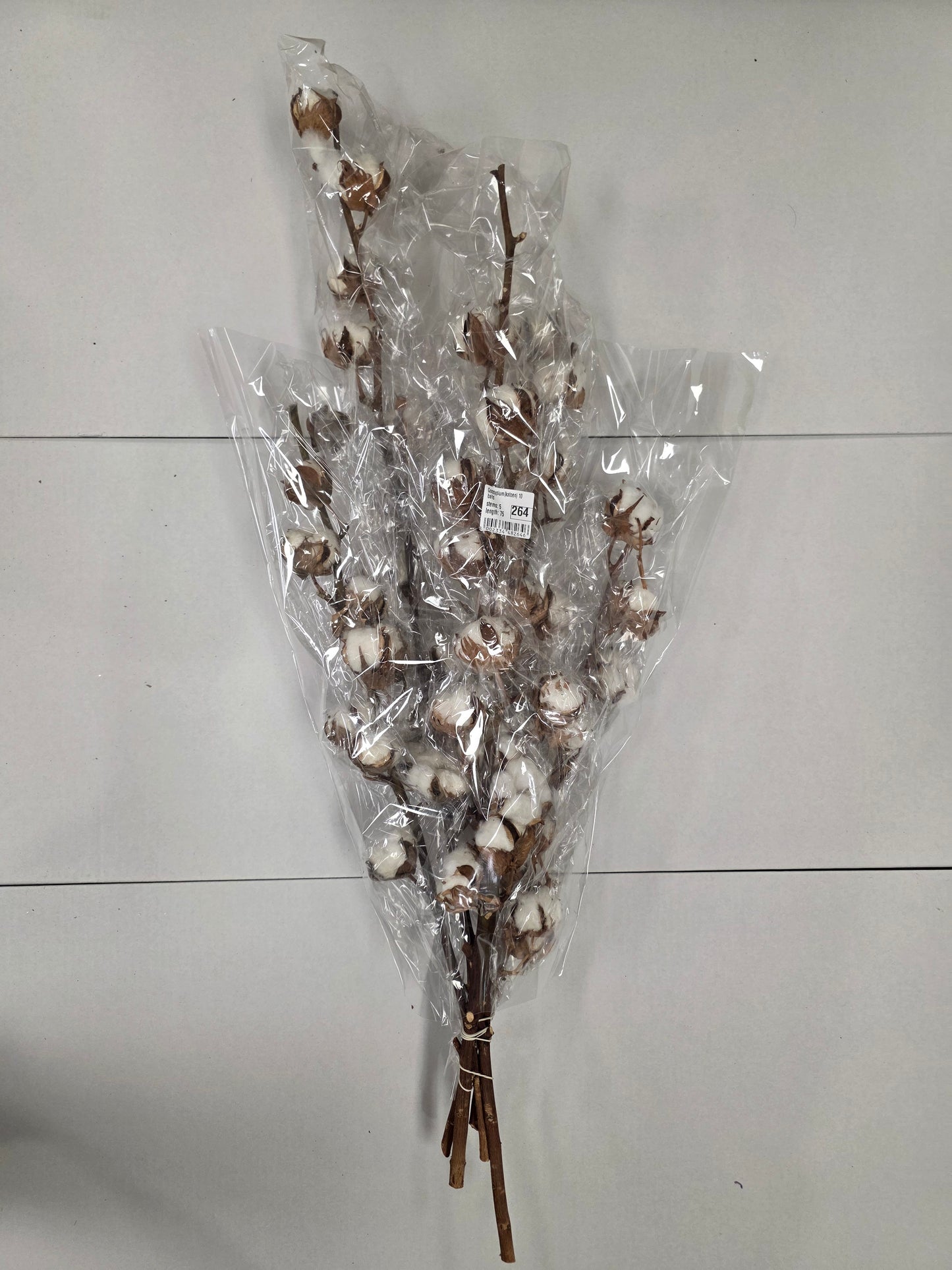 Gossypium(katoen) 10 Balls