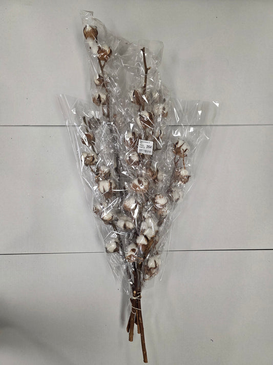 Gossypium(katoen) 10 Balls