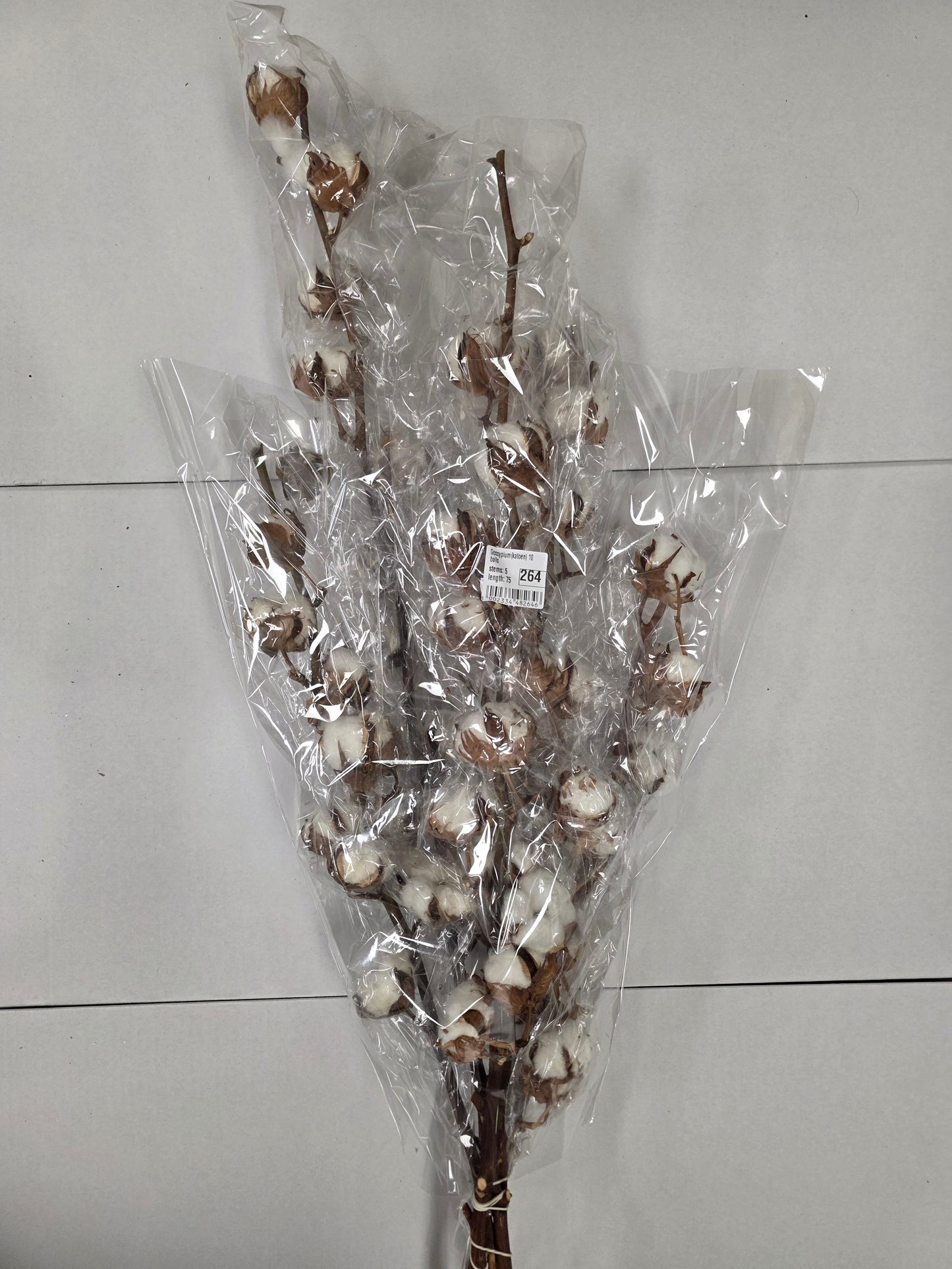 Gossypium(katoen) 10 Balls