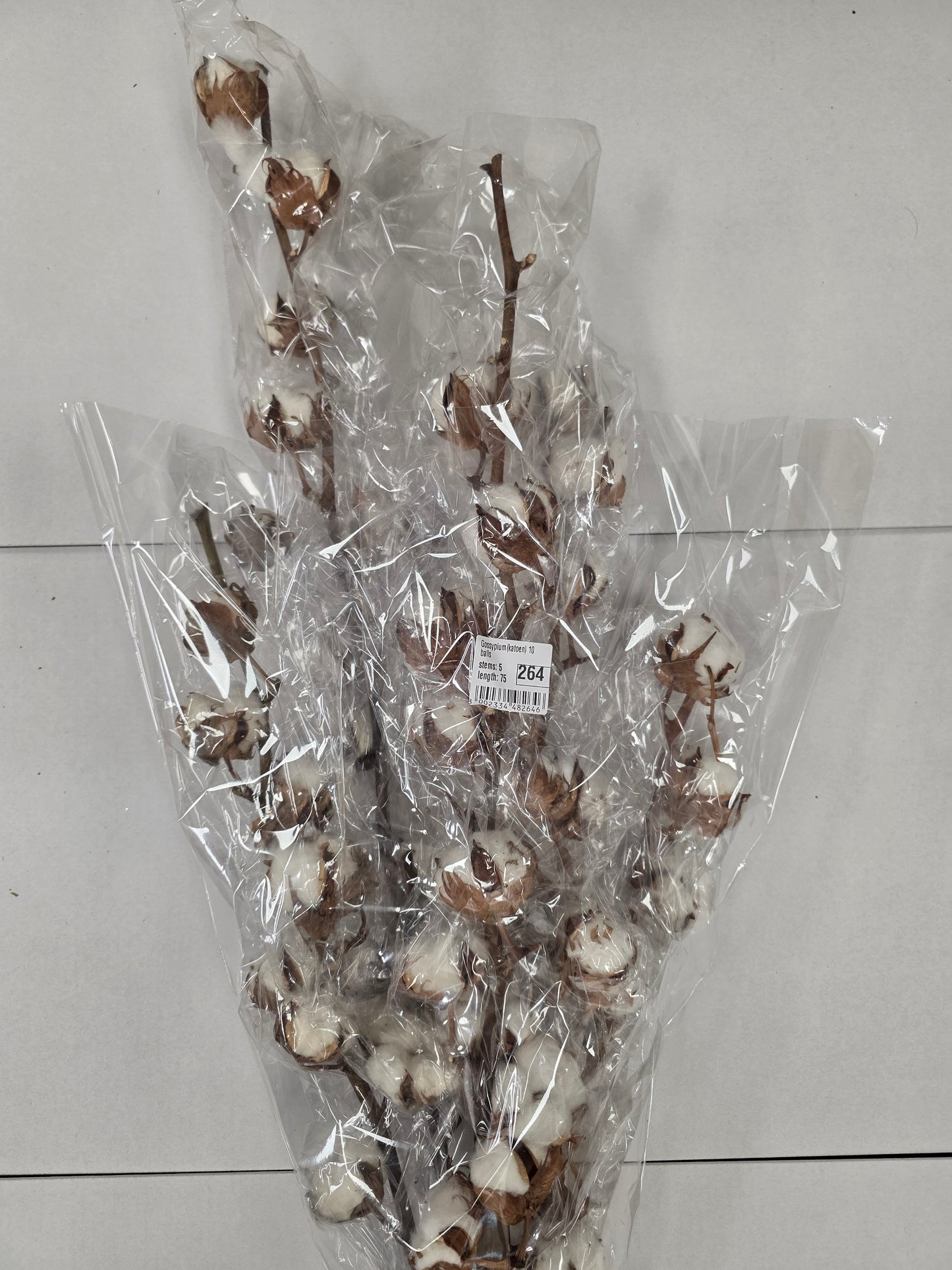 Gossypium(katoen) 10 Balls