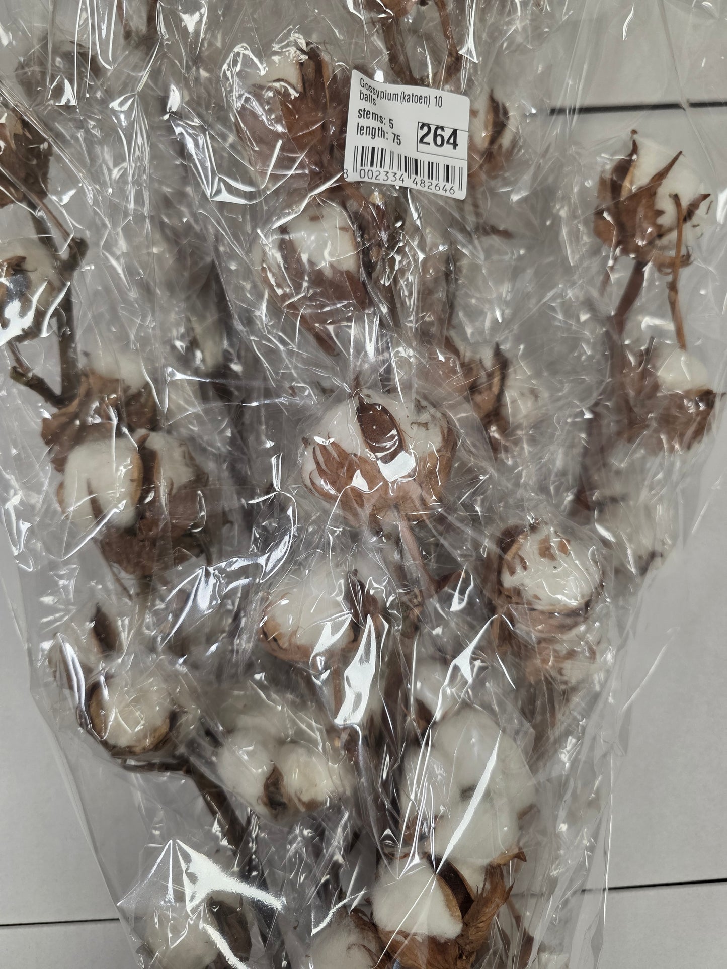 Gossypium(katoen) 10 Balls