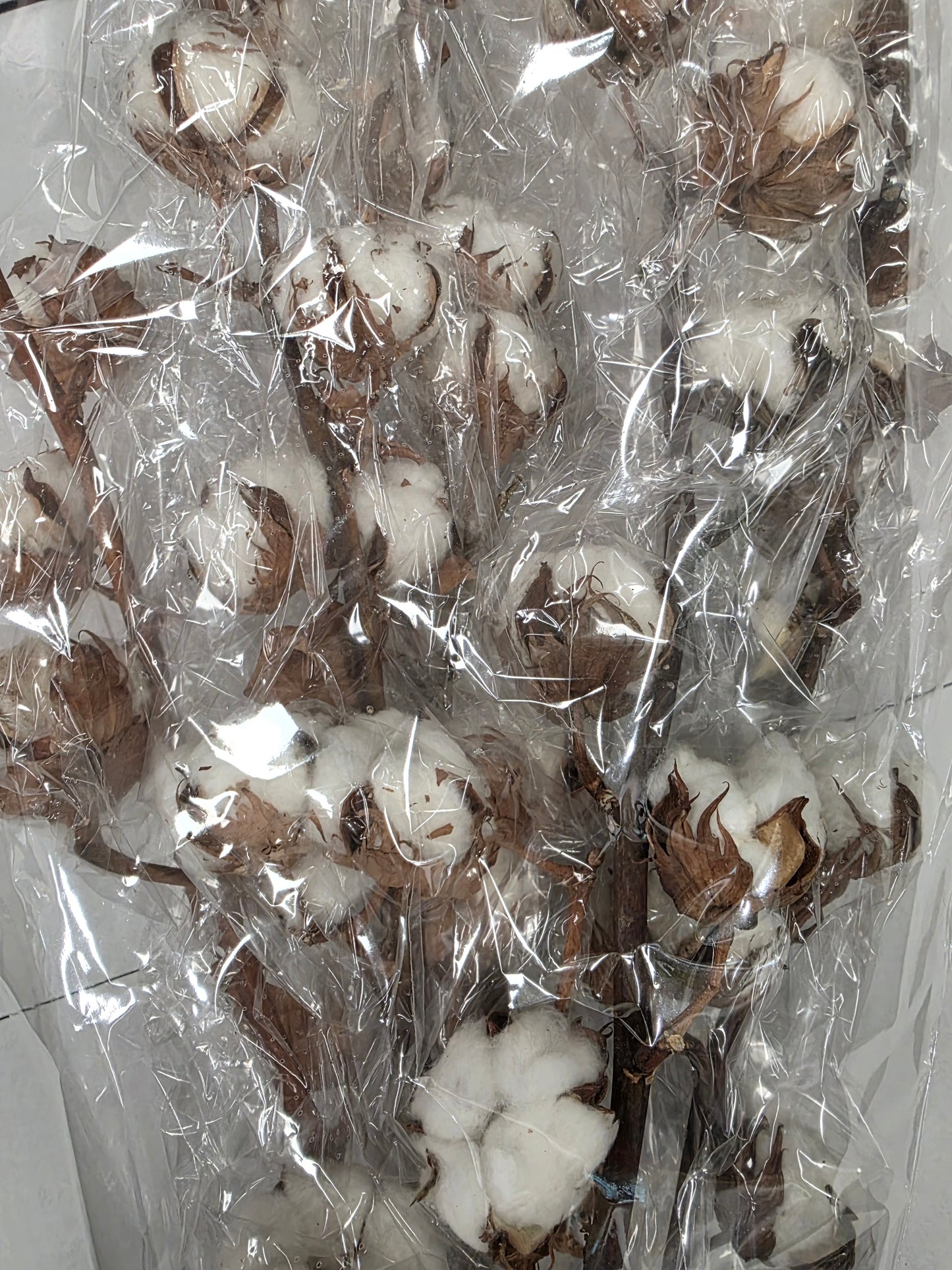 Gossypium(katoen) 10 Balls