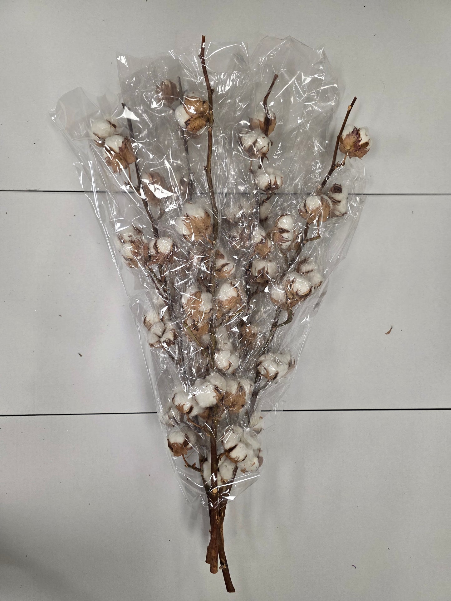 Gossypium(katoen) 14 Balls