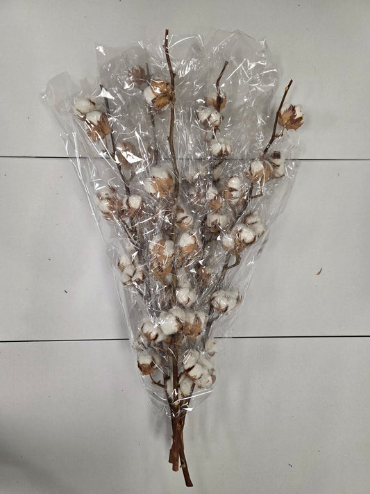 Gossypium(katoen) 14 Balls