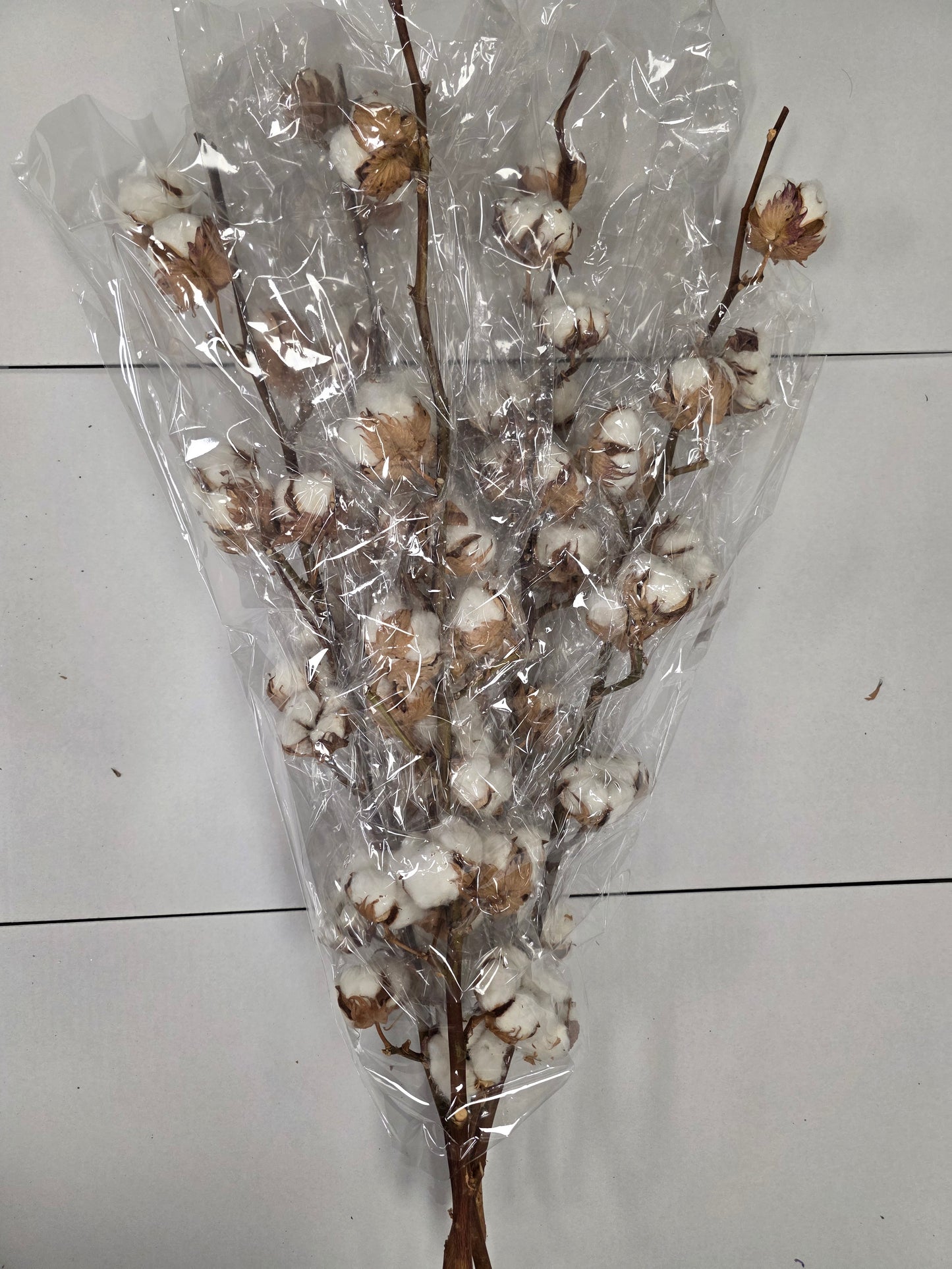 Gossypium(katoen) 14 Balls