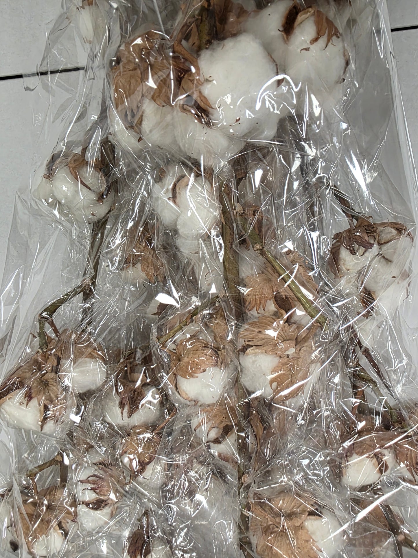 Gossypium(katoen) 14 Balls