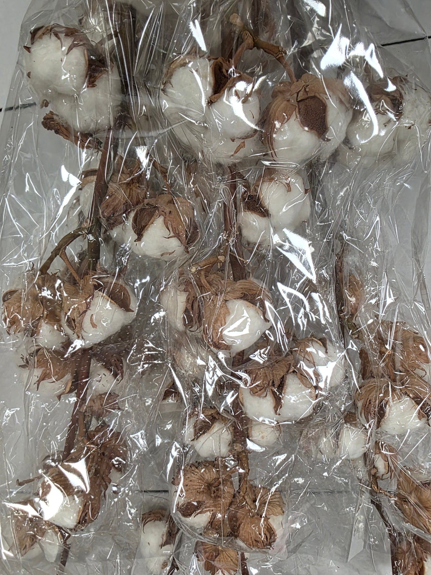 Gossypium(katoen) 14 Balls