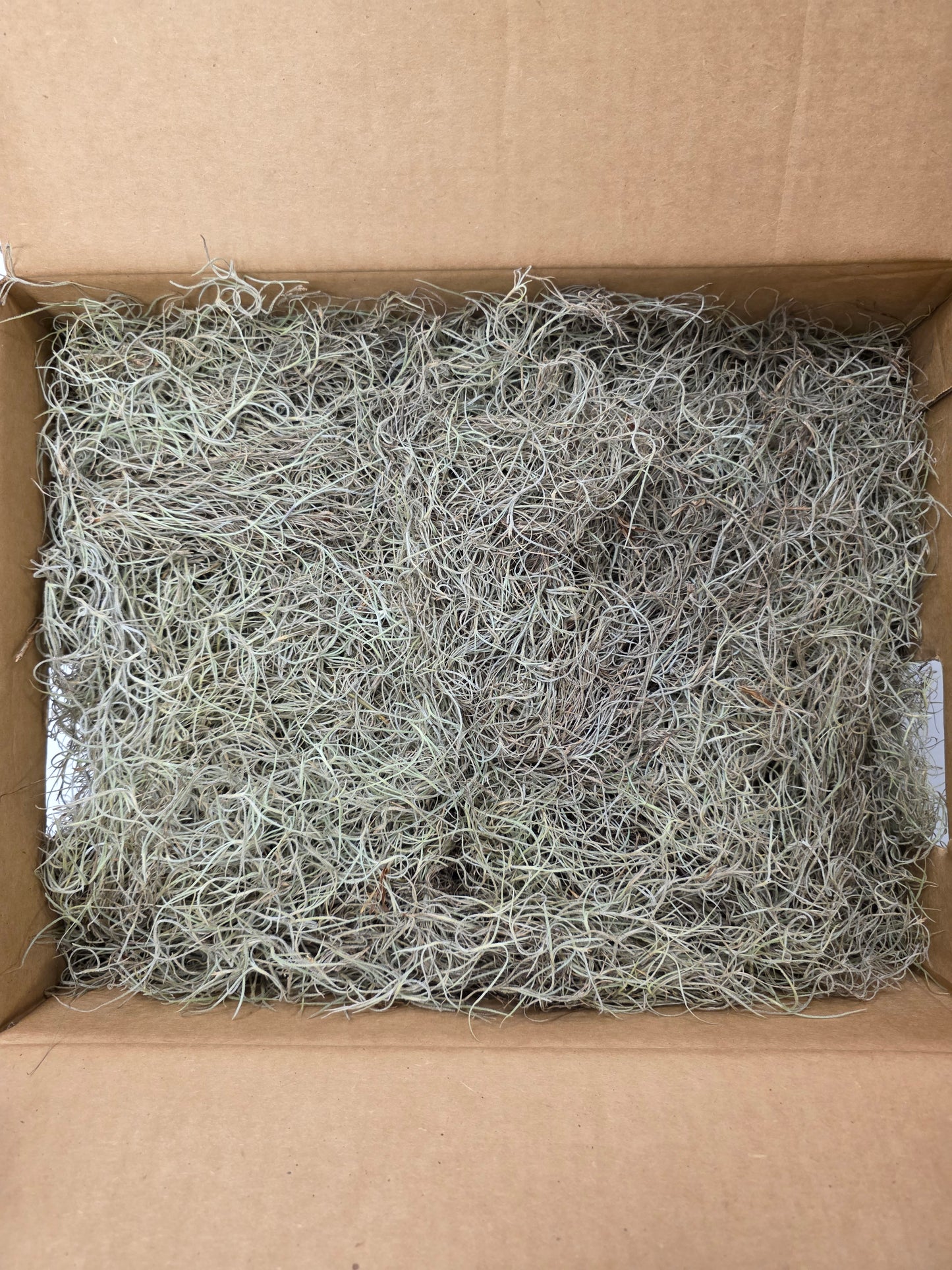 Moss Spaans Mos Fine