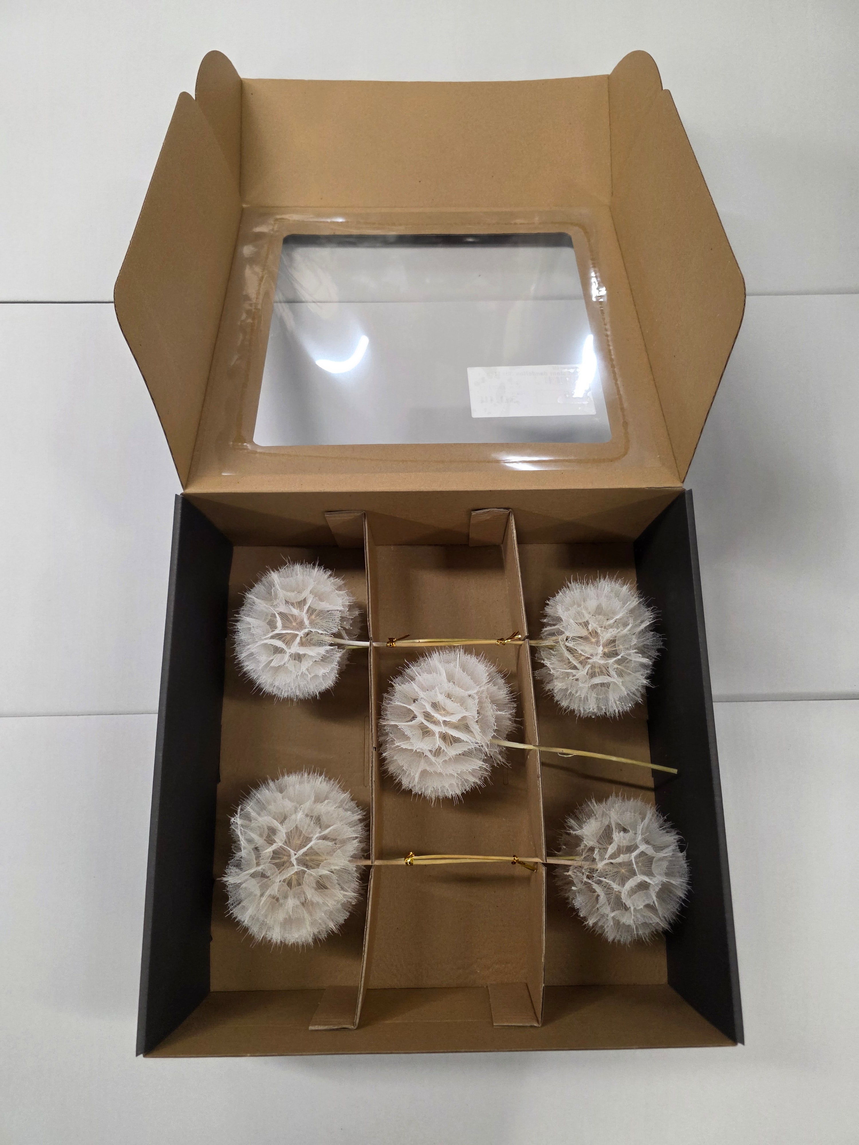 Dried Stem Dandelion 35x11cm X5