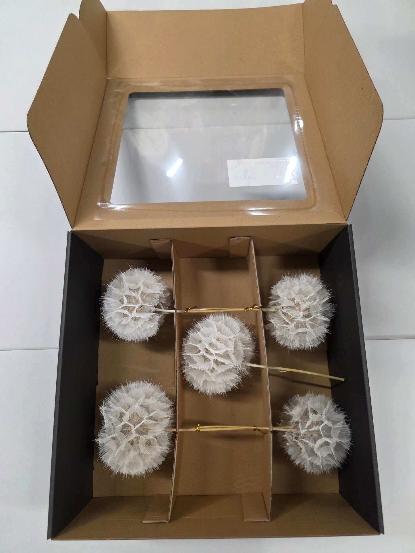 Dried Stem Dandelion 35x11cm X5