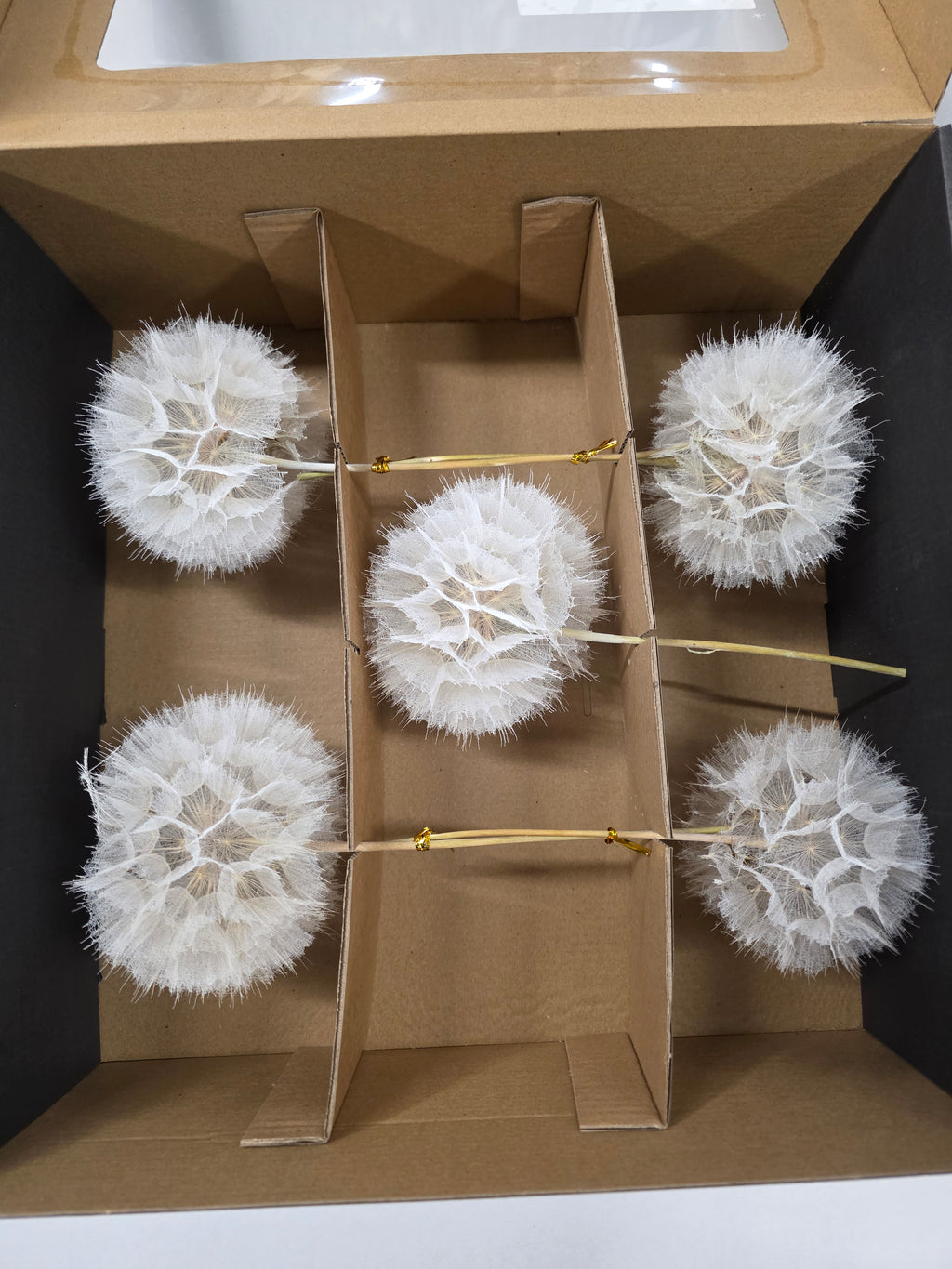 Dried Stem Dandelion 35x11cm X5