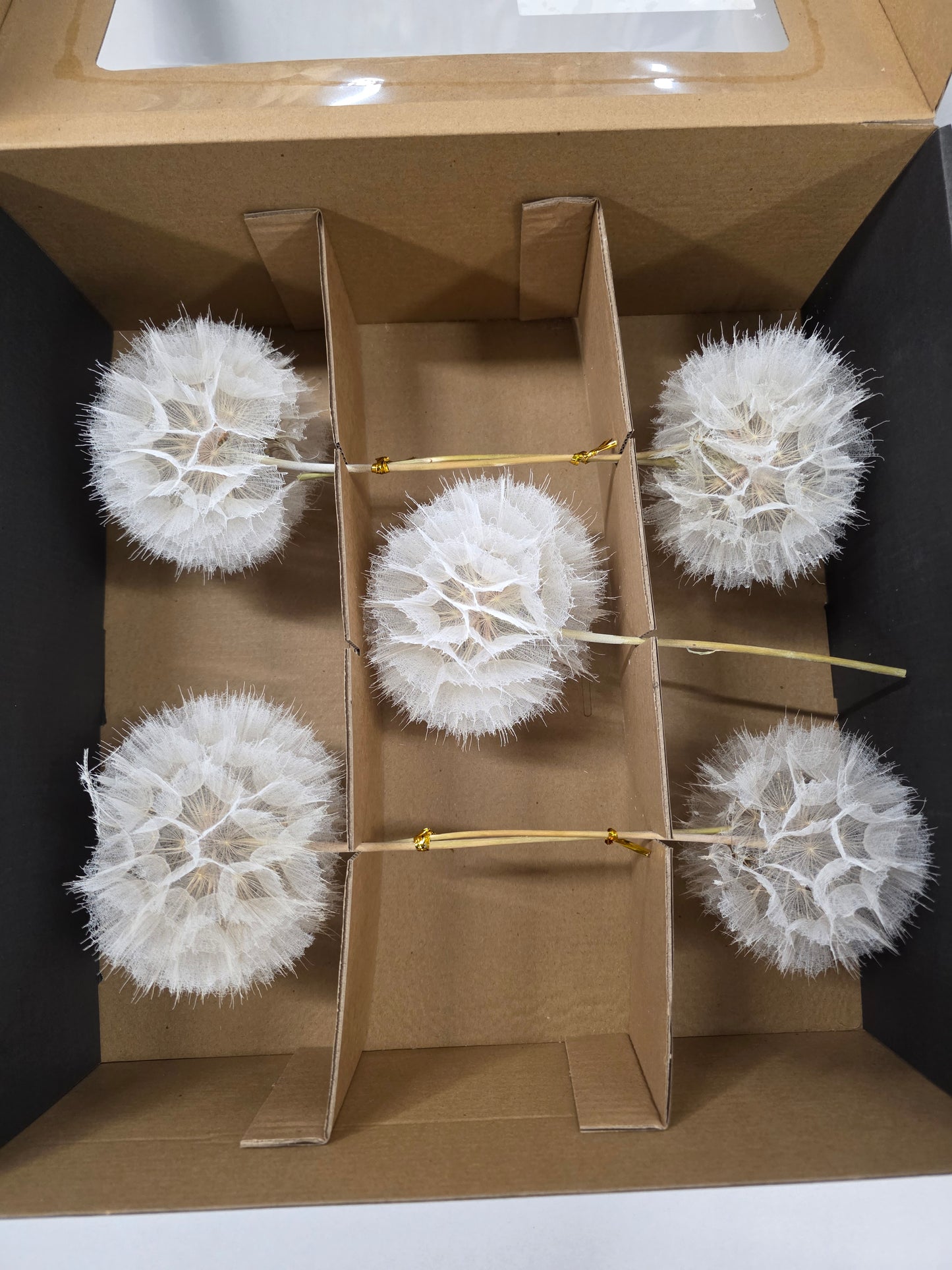 Dried Stem Dandelion 35x11cm X5