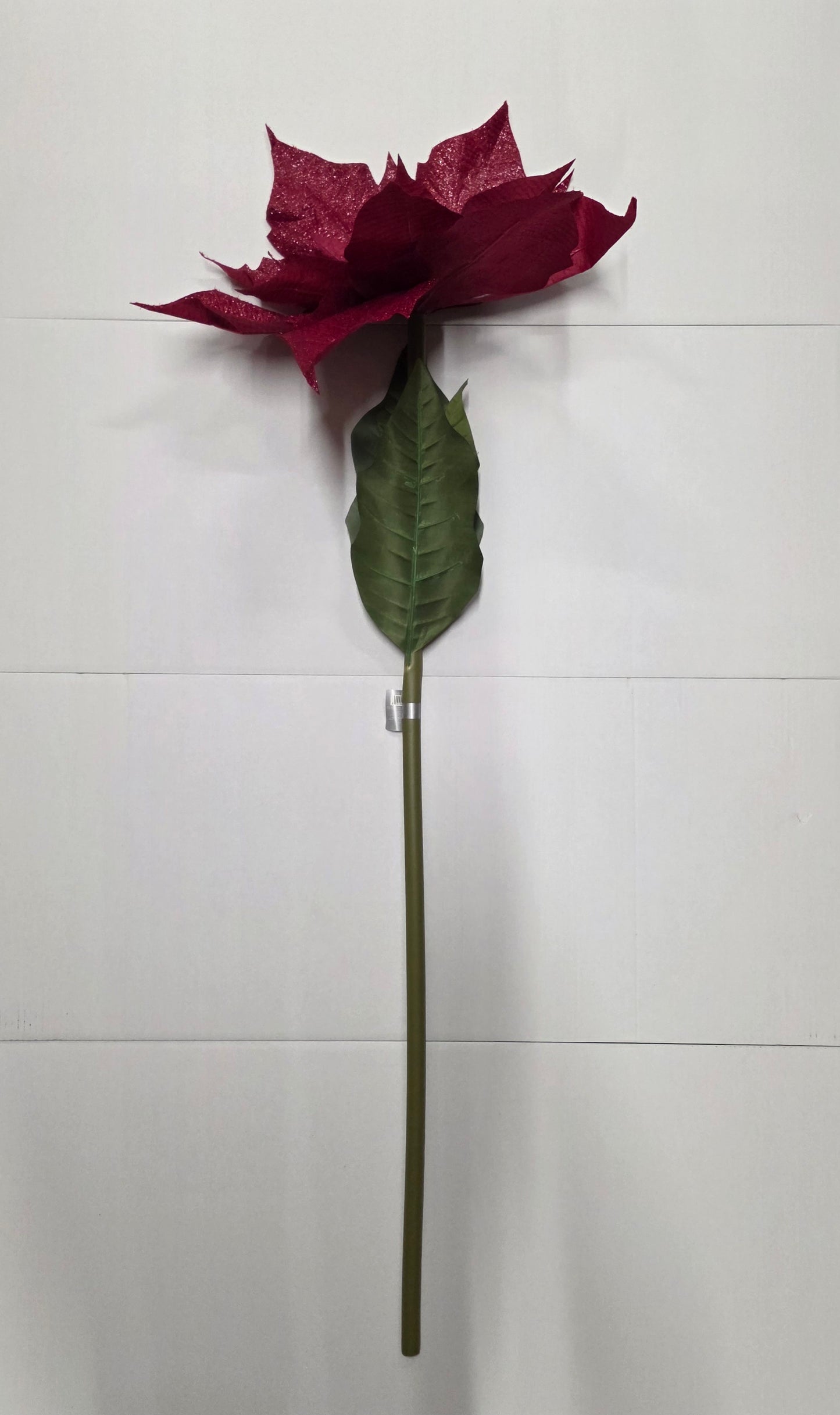 Giant Pionsettia Burgundy 135cm