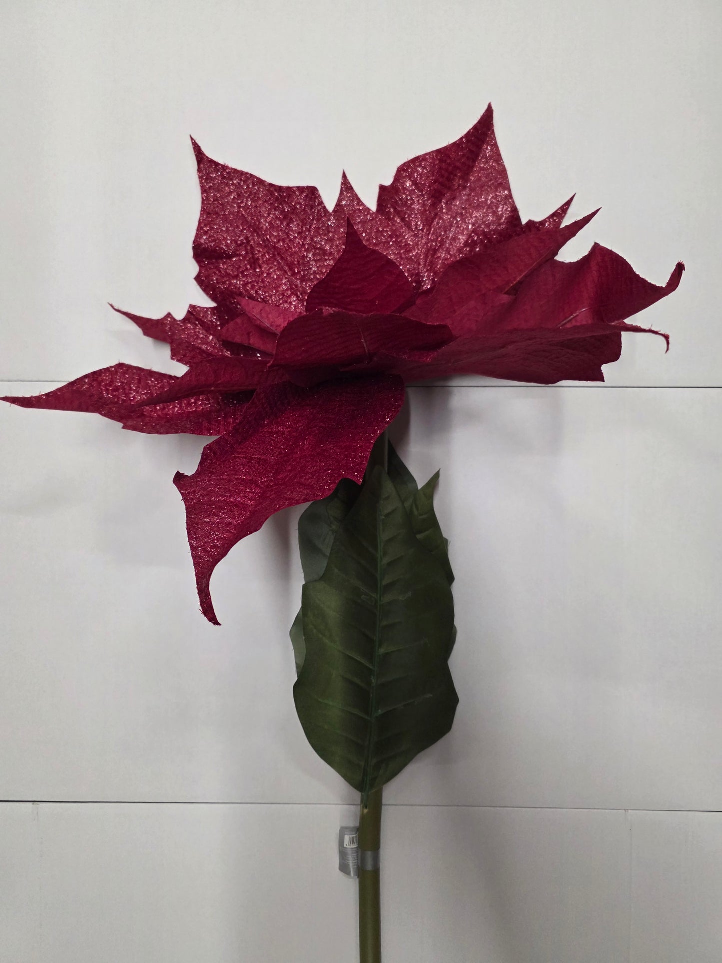 Giant Pionsettia Burgundy 135cm