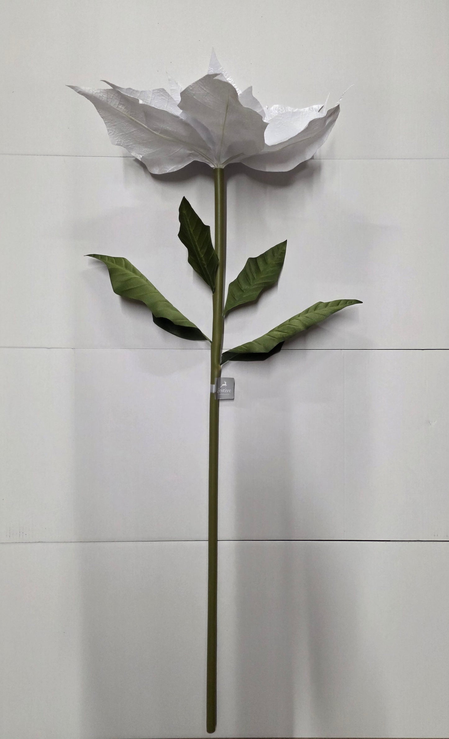 Giant Poinsettia Silver Velvet 135cm