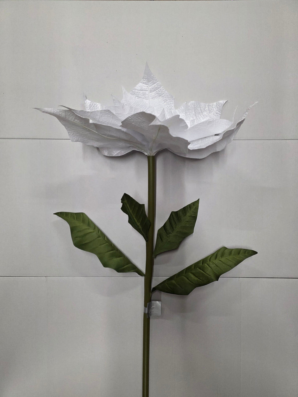 Giant Poinsettia Silver Velvet 135cm