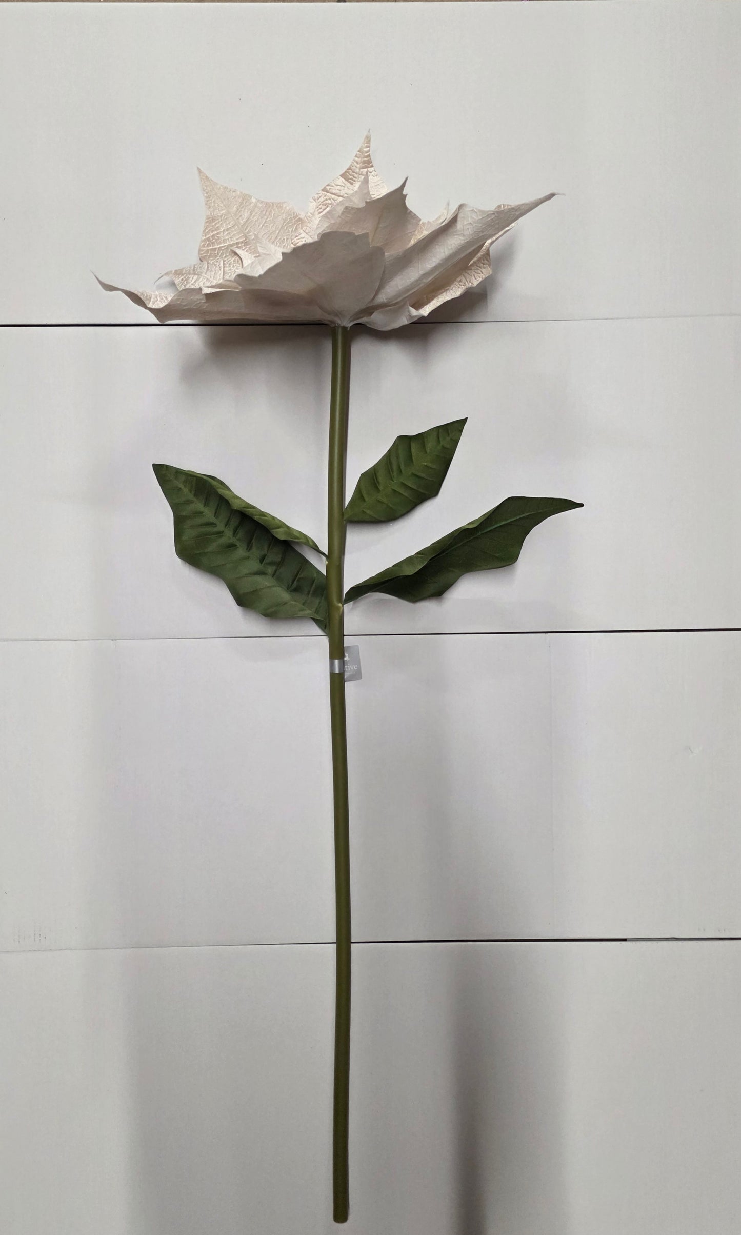 Giant Poinsettia Velvet Champagne 135cm